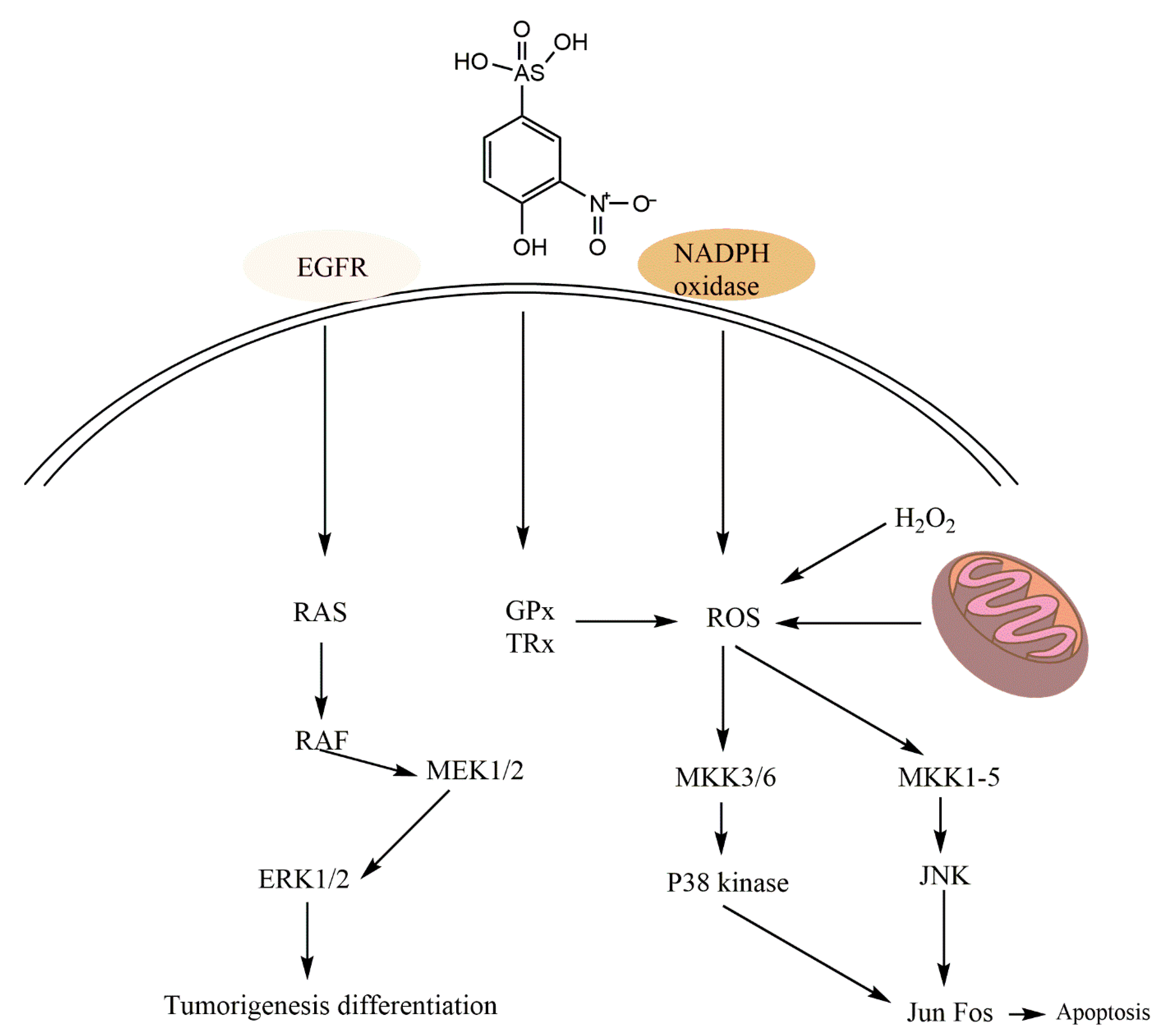 Sustainability 14 00161 g002