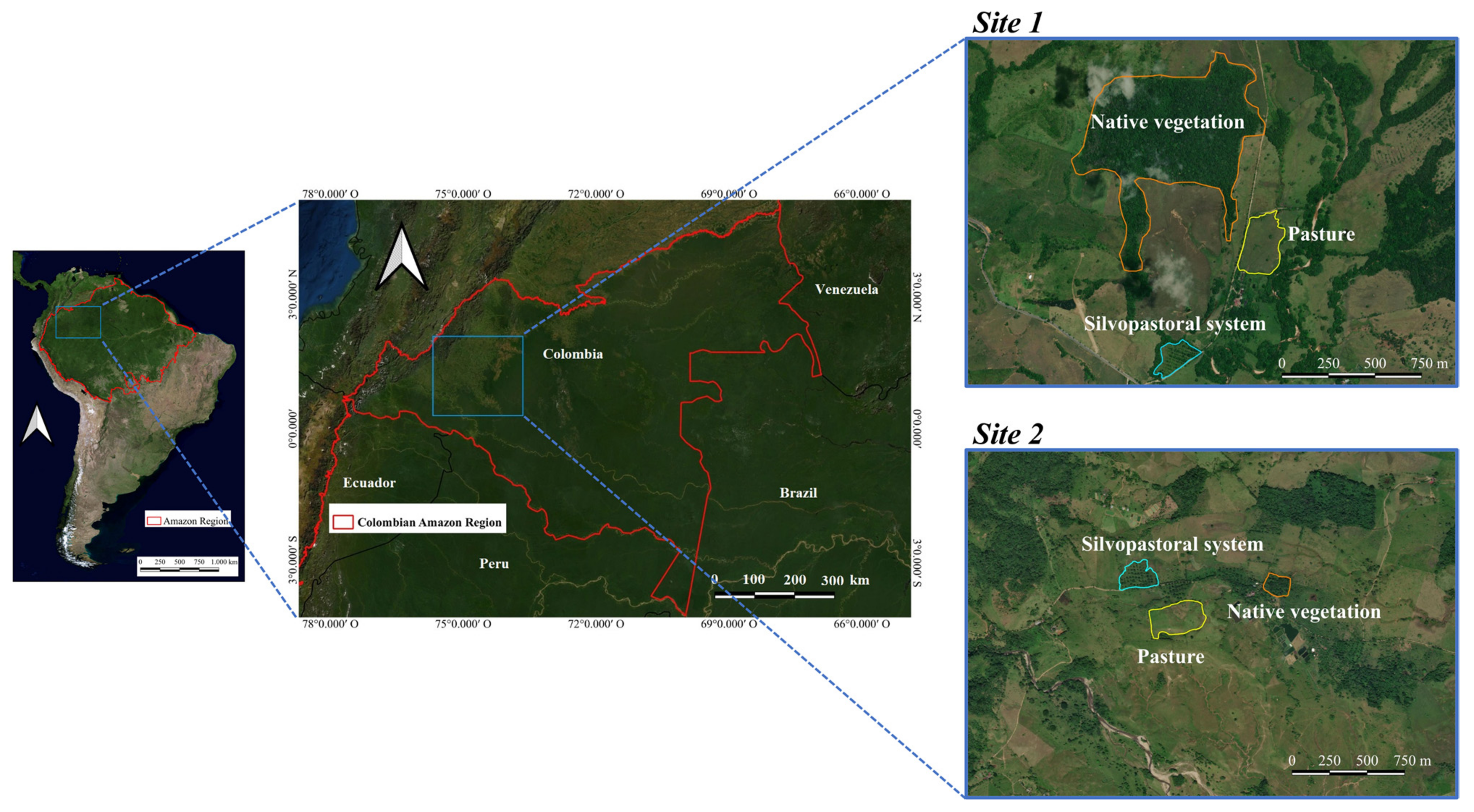 Sustainability | Free Full-Text | Silvopastoral Systems Enhance Soil Health  in the Amazon Region | HTML