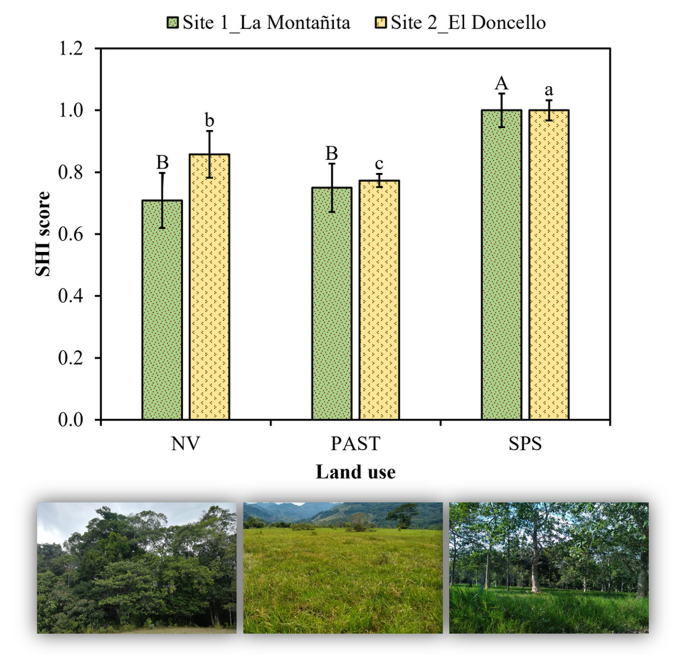 Sustainability | Free Full-Text | Silvopastoral Systems Enhance Soil Health  in the Amazon Region | HTML