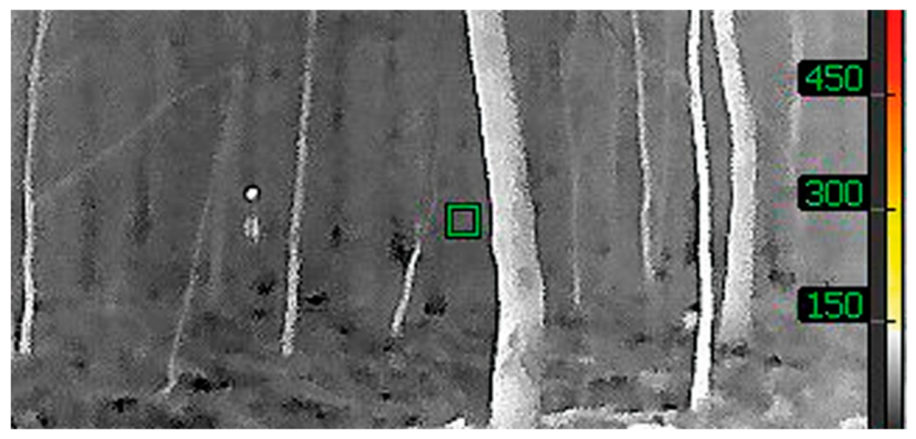 Sustainability 14 00327 g005