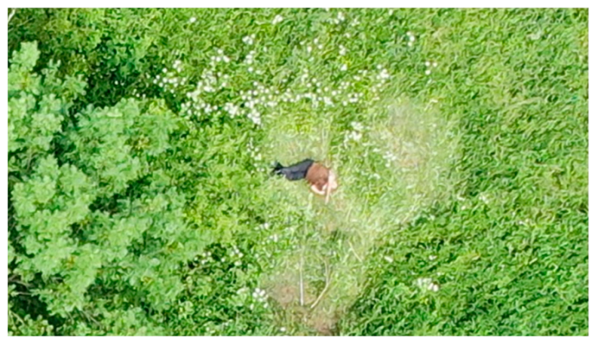 Sustainability 14 00327 g006