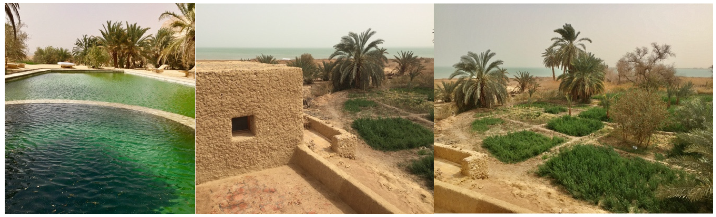 Sustainability 14 00328 g005