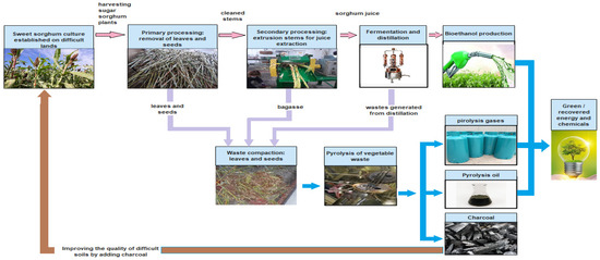 Sustainability | Free Full-Text | High-Grade Chemicals and Biofuels  Produced from Marginal Lands Using an Integrated Approach of Alcoholic  Fermentation and Pyrolysis of Sweet Sorghum Biomass Residues