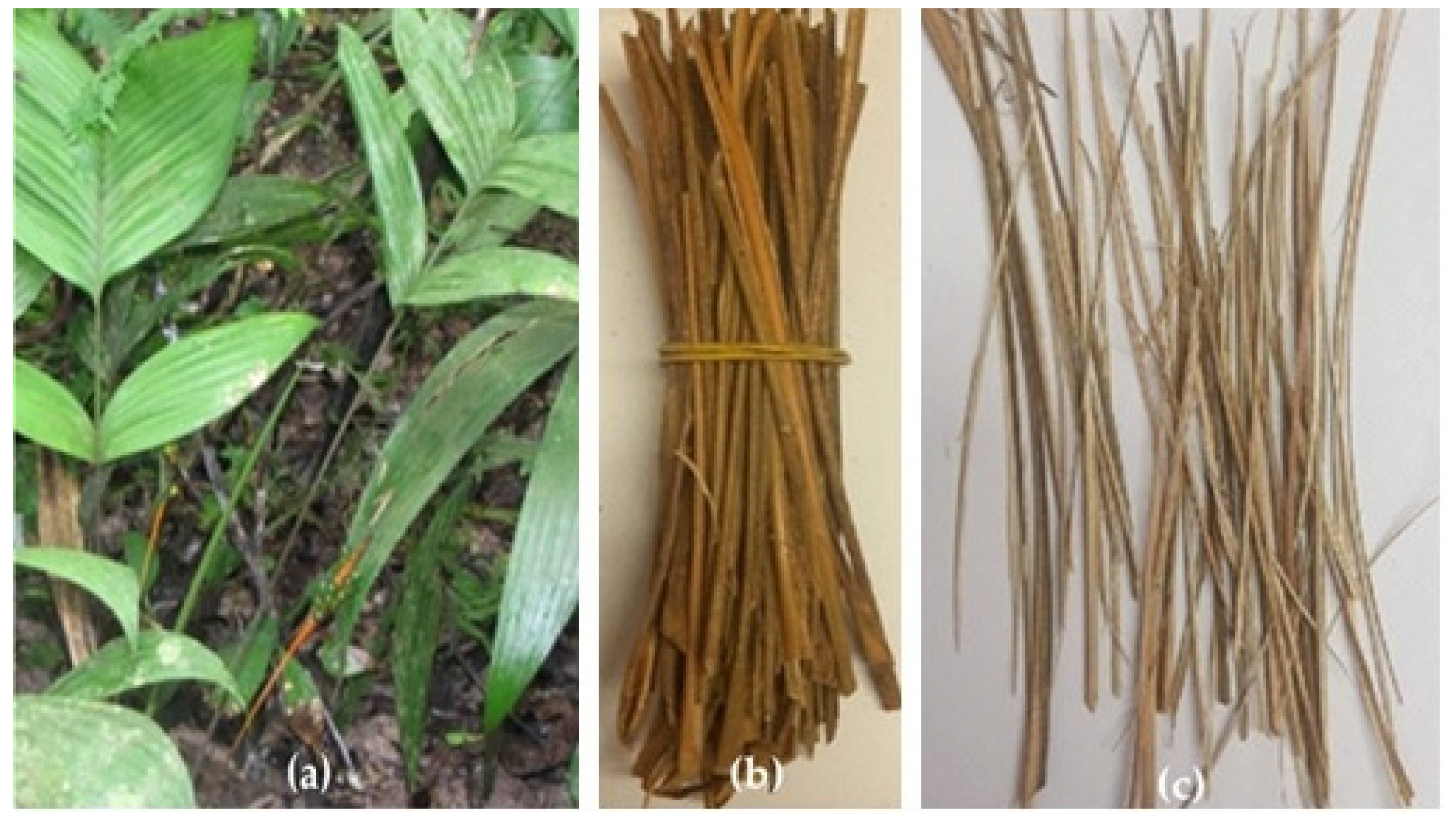 Sustainability 14 00421 g001