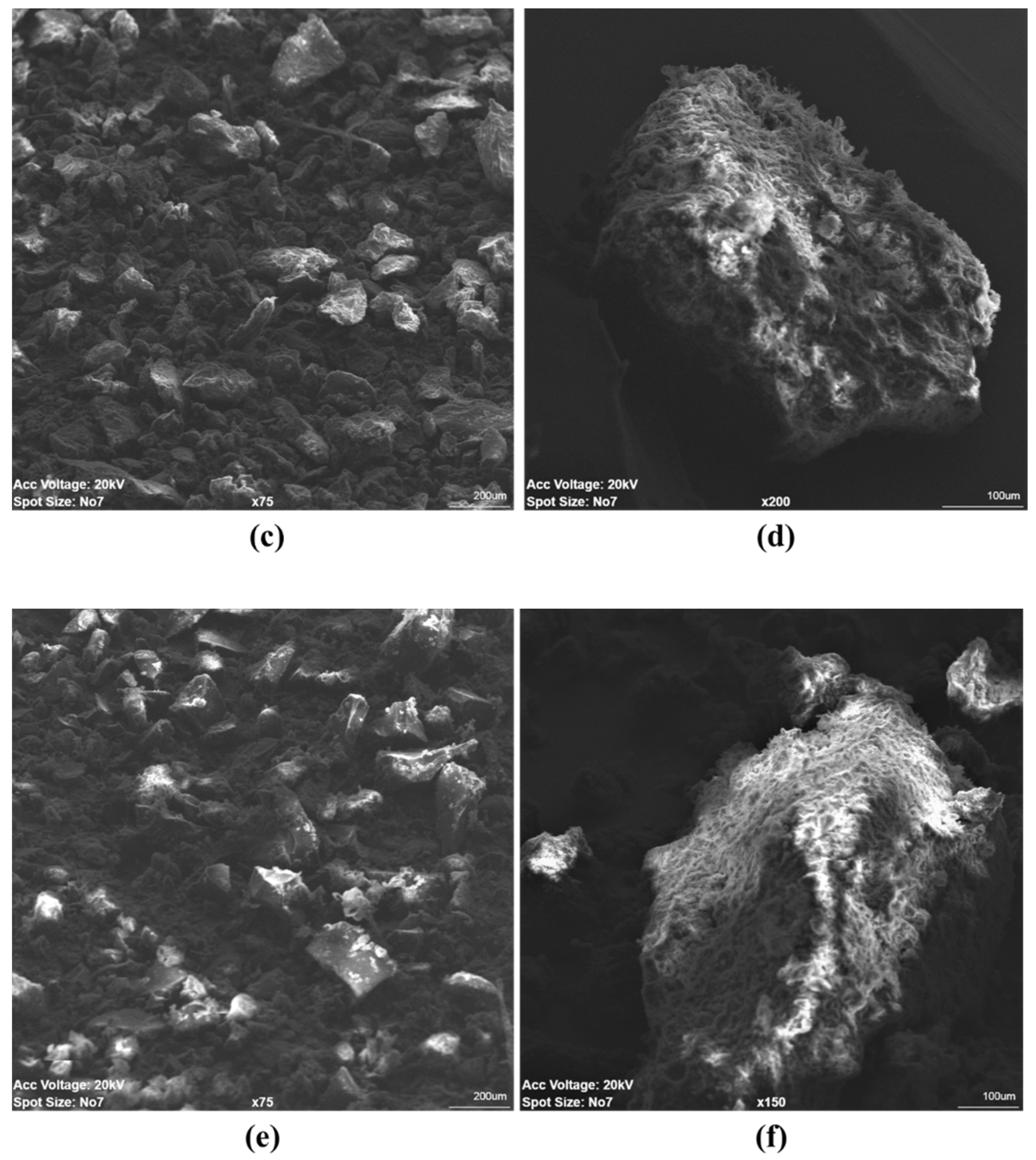 Sustainability 14 00455 g006b