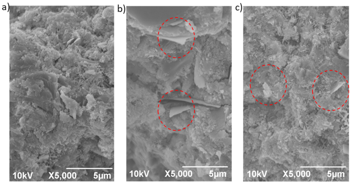 Sustainability 14 00784 g003