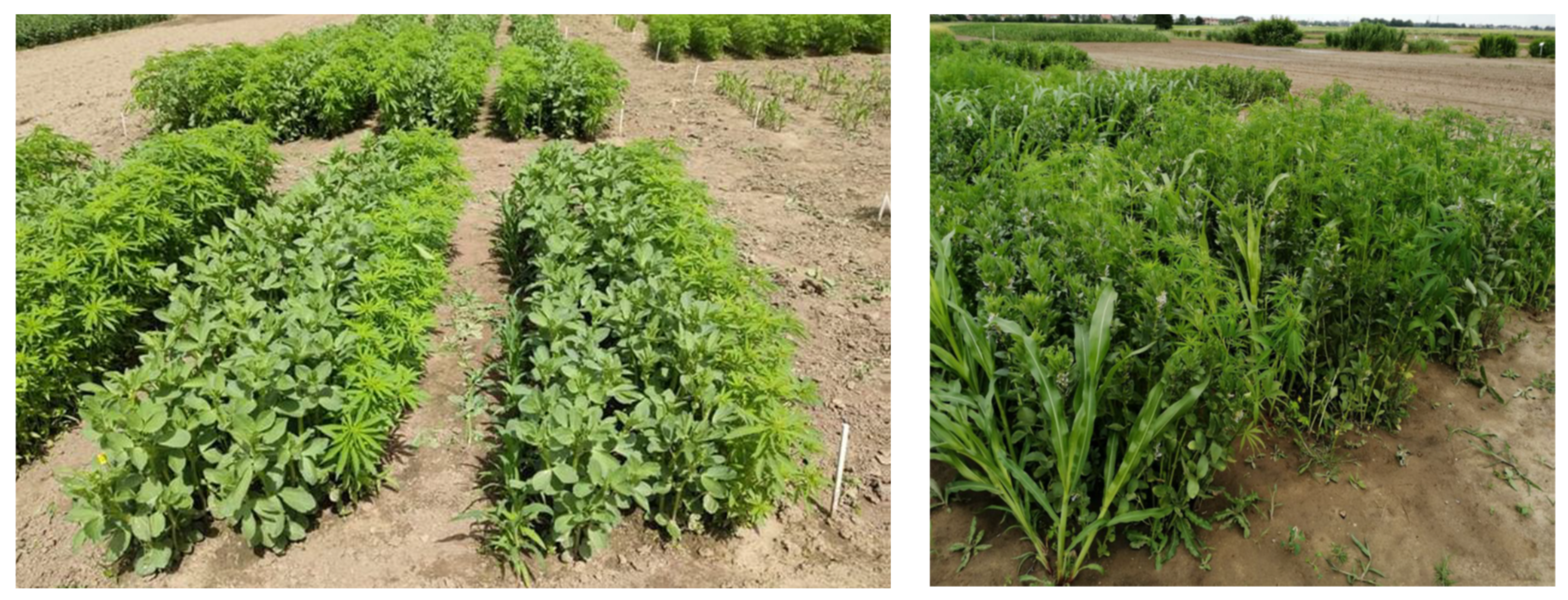 Sustainability 14 00799 g002