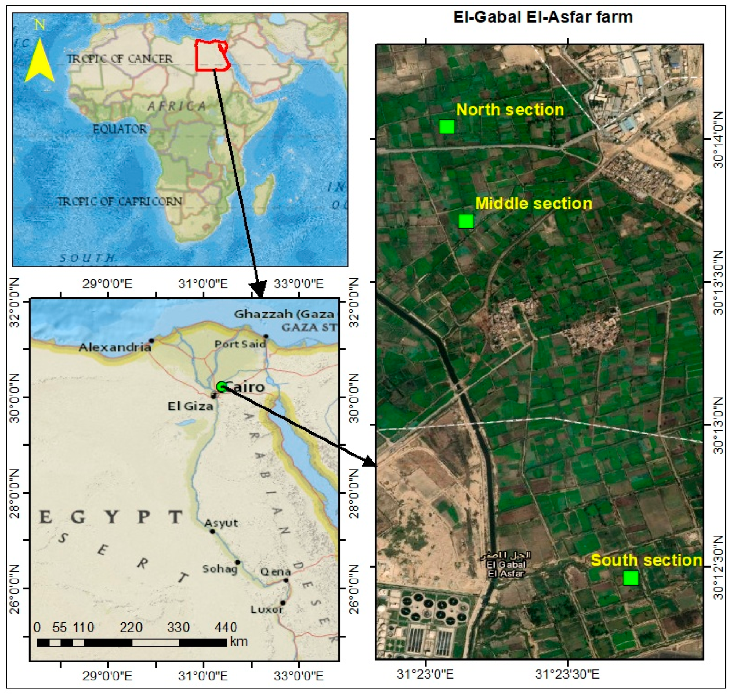 Sustainability Free Full Text Effect Of Marginal Quality Irrigation On Accumulation Of Some Heavy Metals Mn Pb And Zn In Typictorripsamment Soils And Food Crops Html