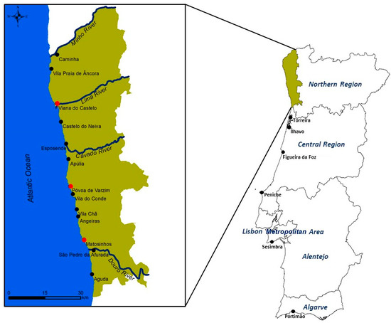 Sustainability | Free Full-Text | Sustainability of the Portuguese North-Western  Fishing Activity in the Face of the Recently Implemented Maritime Spatial  Planning