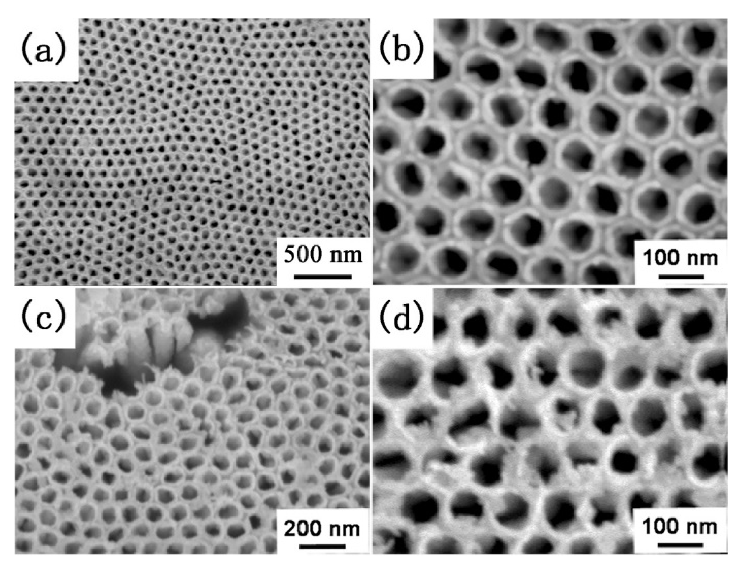 Sustainability 14 01305 g001