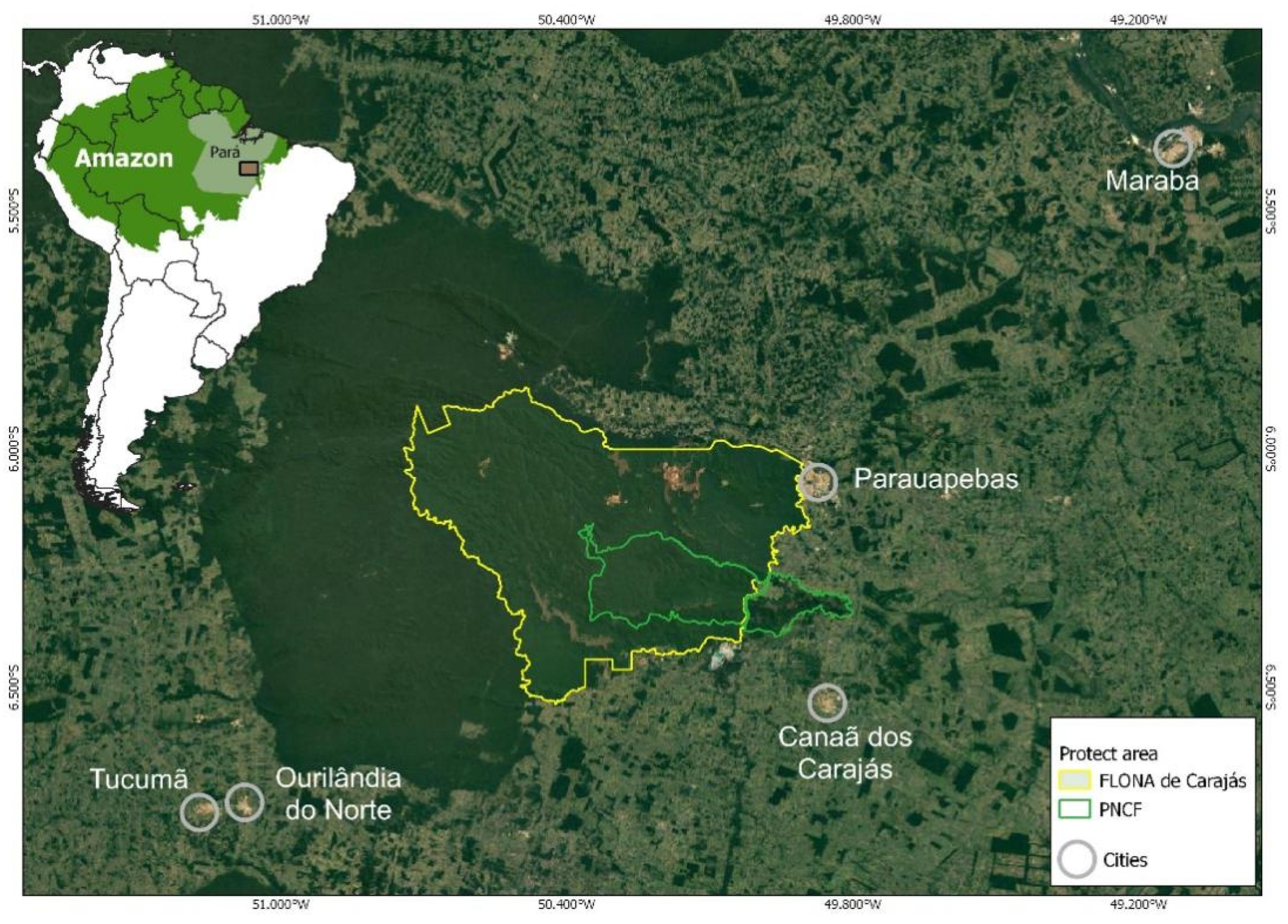 Sustainability | Free Full-Text | Telling the Wood from the Trees: Ranking  a Tree Species List to Aid Urban Afforestation in the Amazon
