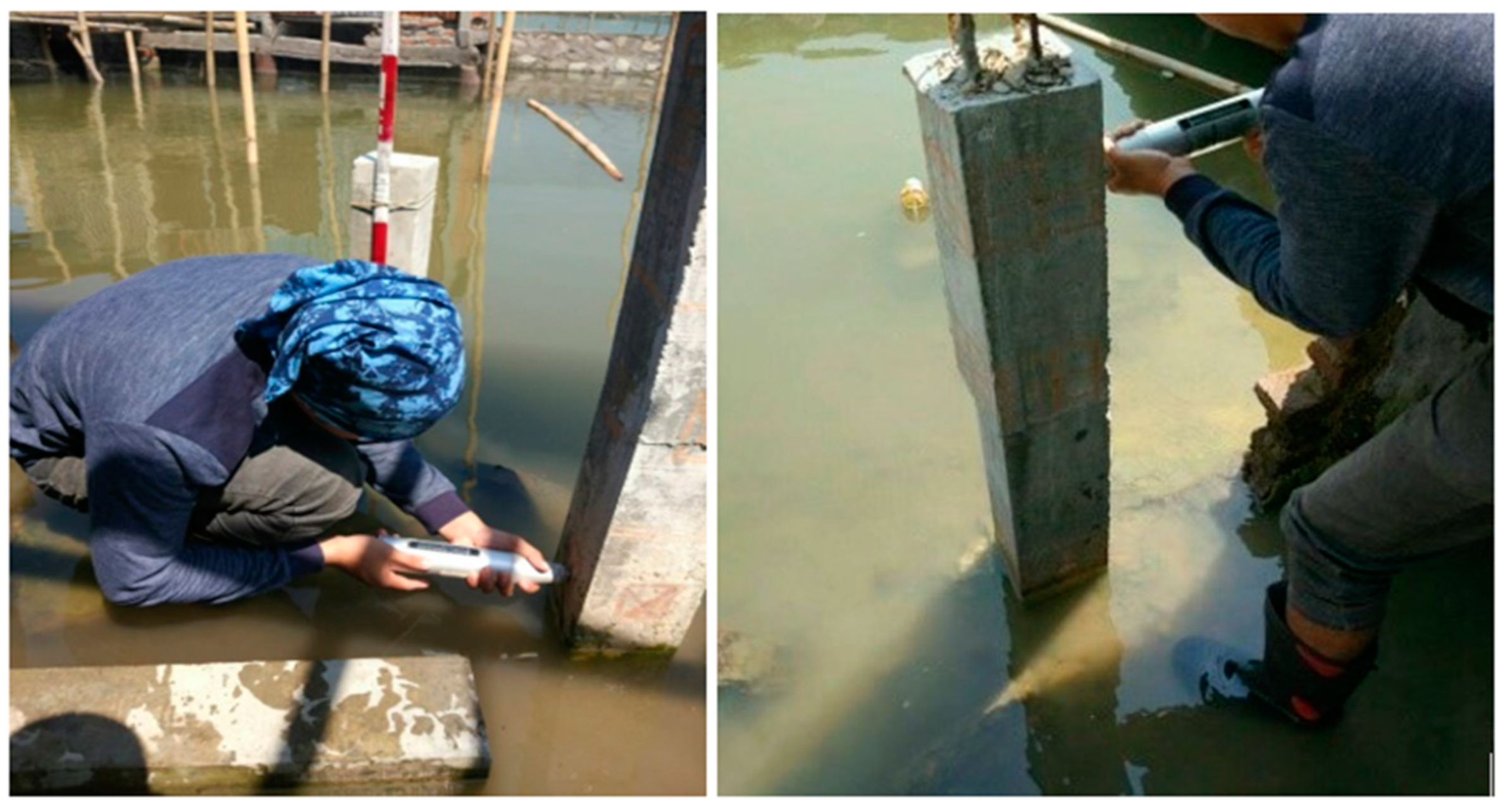 Sustainability 14 01565 g011