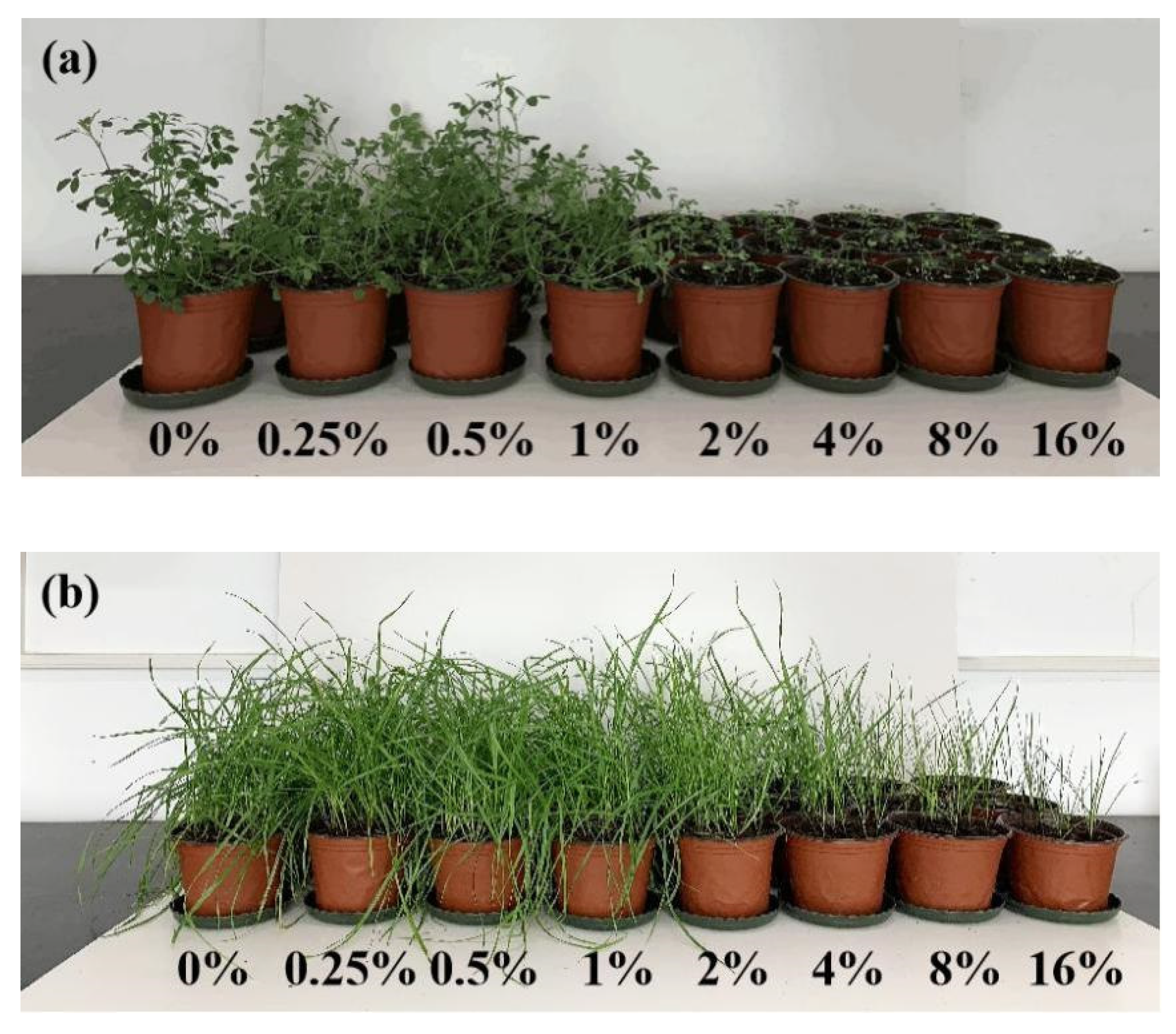 Sustainability 14 01575 g002