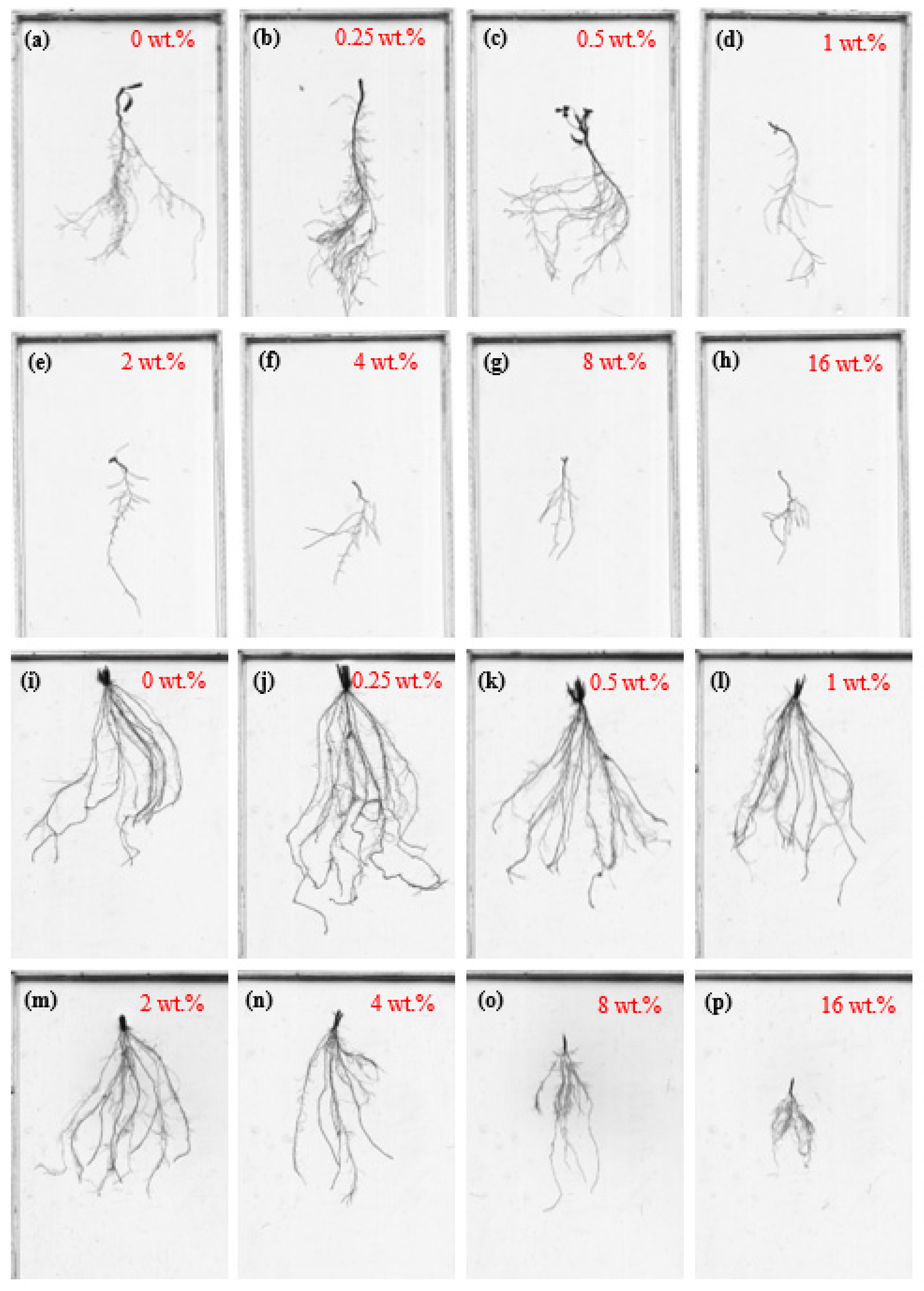 Sustainability 14 01575 g003