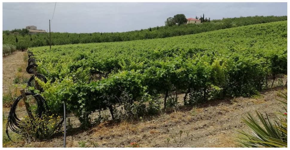 Sustainability 14 01688 g001