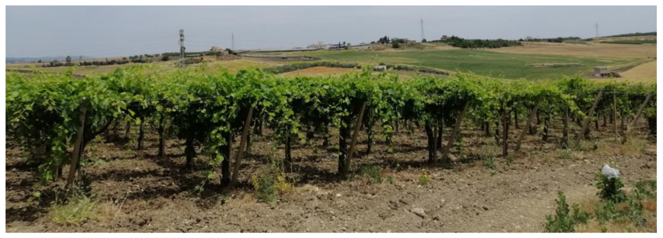 Sustainability 14 01688 g002