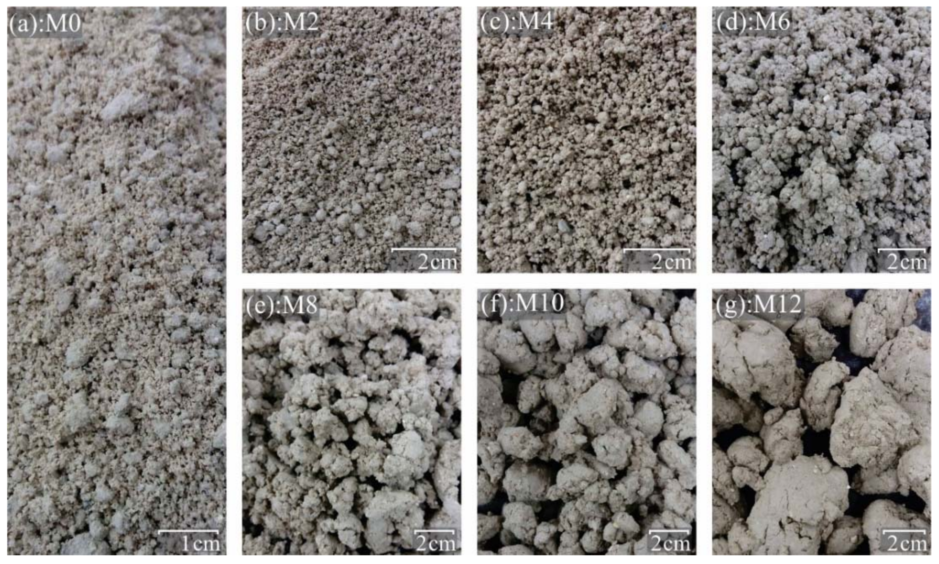 Sustainability 14 02239 g004