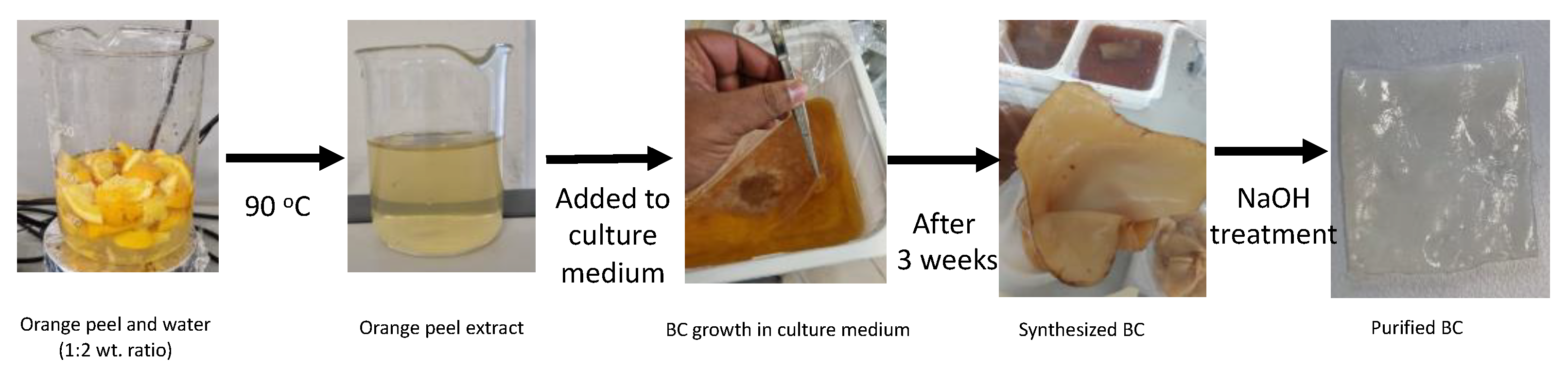 Sustainability 14 02247 g001