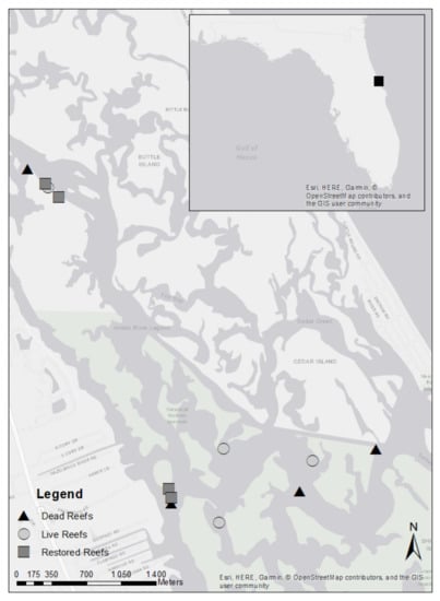 Everglades City Map Mesh Fishing shirt - Everglades Foods, Inc.