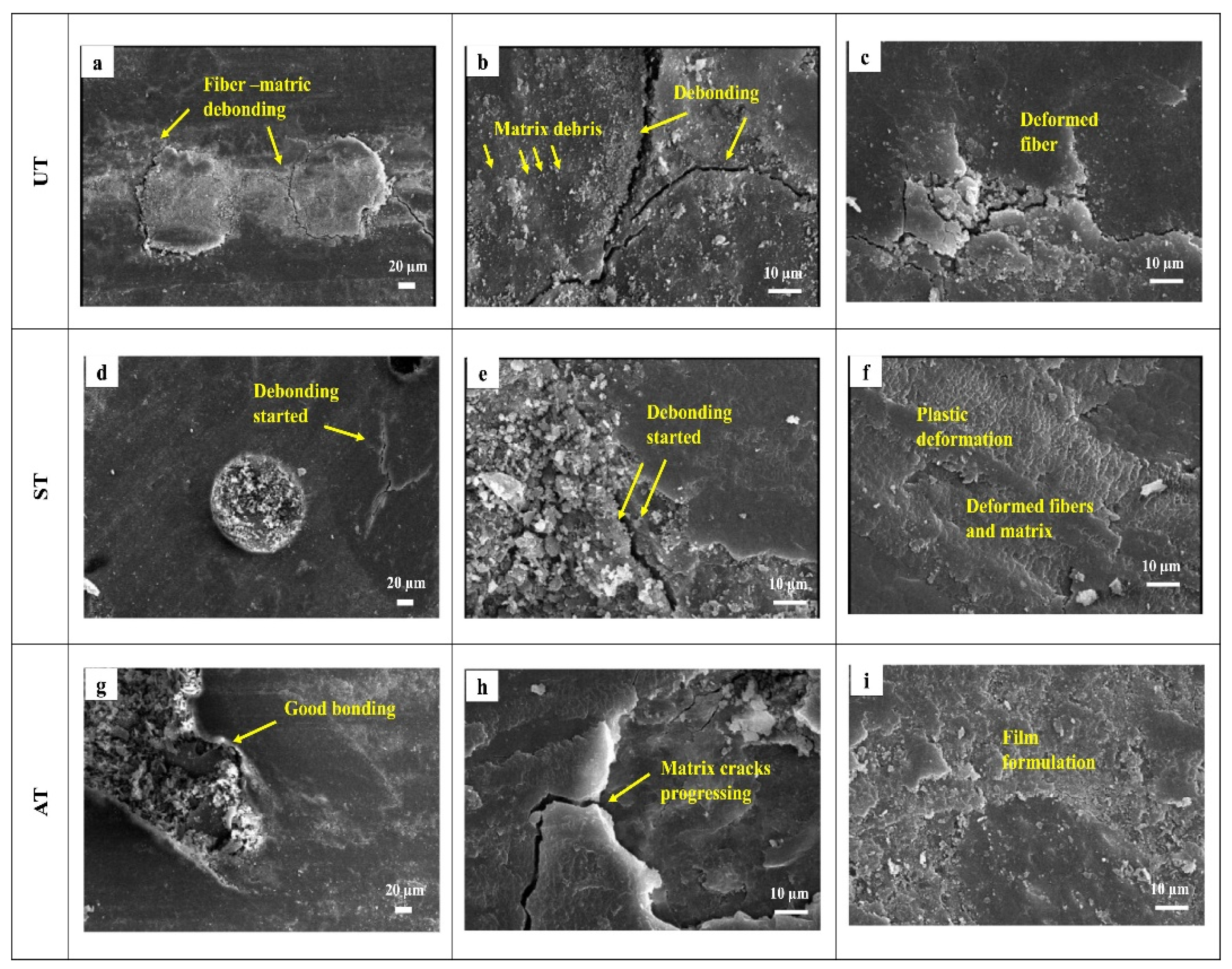 Sustainability 14 02508 g010