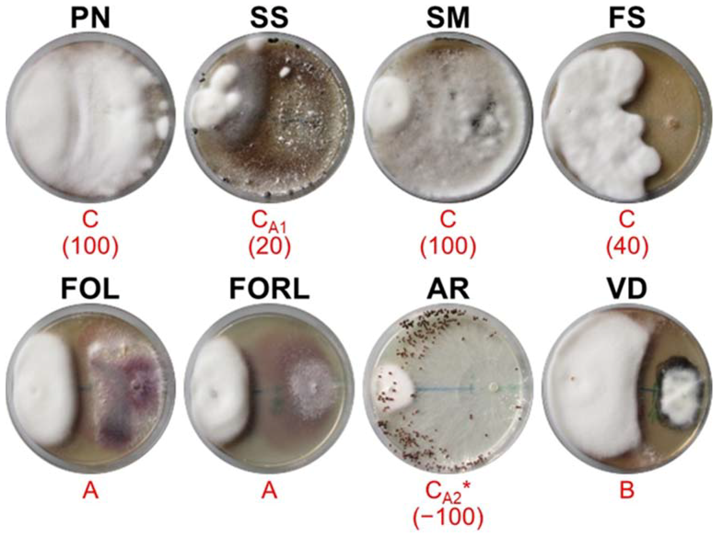 Sustainability 14 02693 g003 Sustainability 14 02693 g003