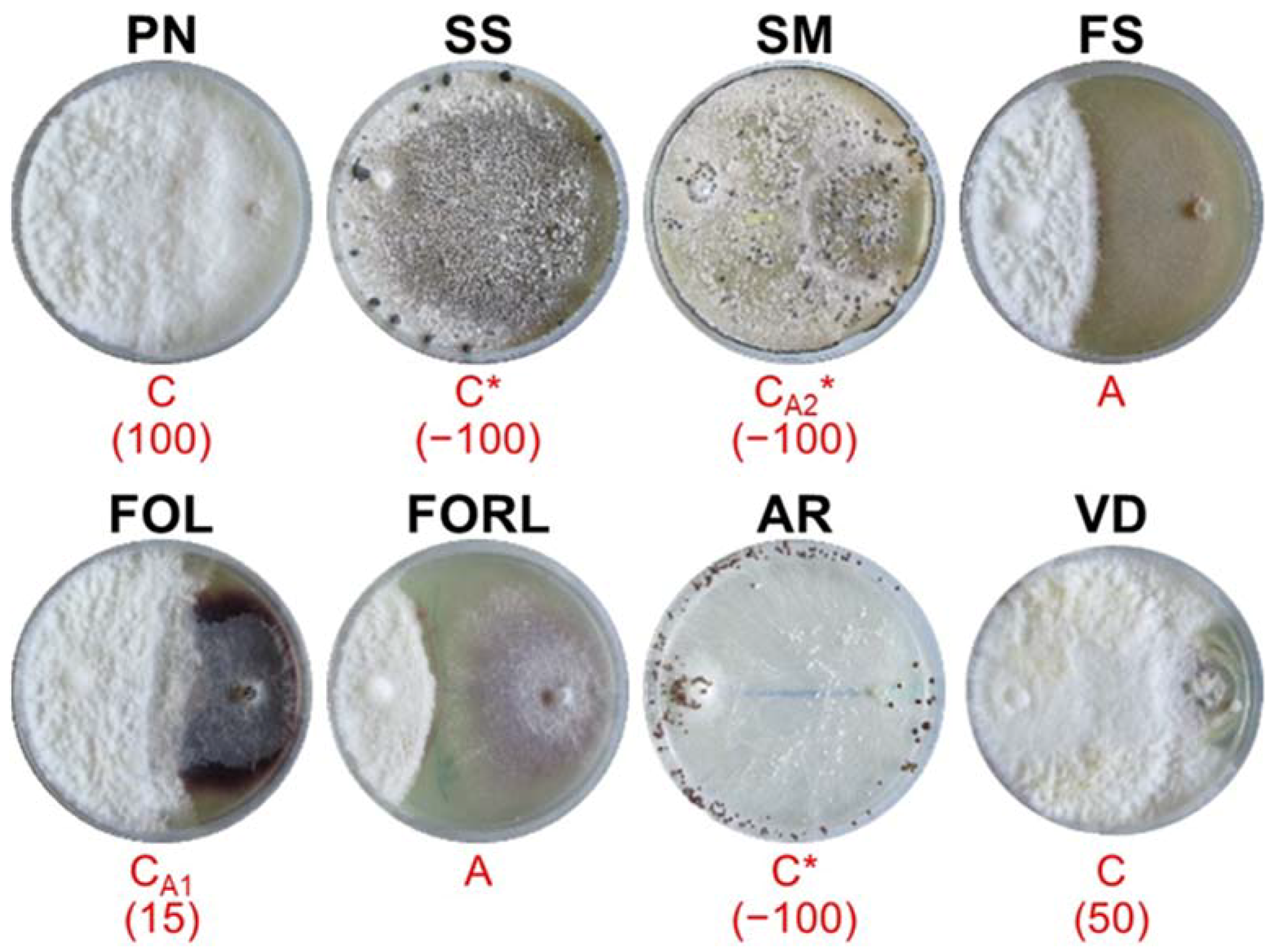 Sustainability 14 02693 g005 Sustainability 14 02693 g005