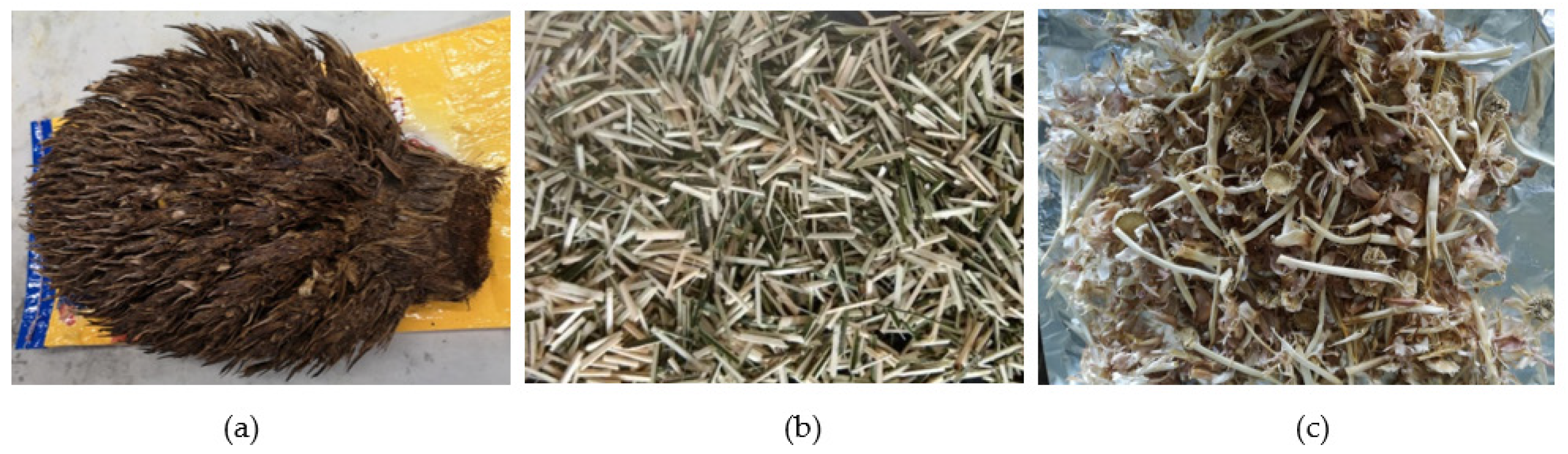 Sustainability 14 02919 g001