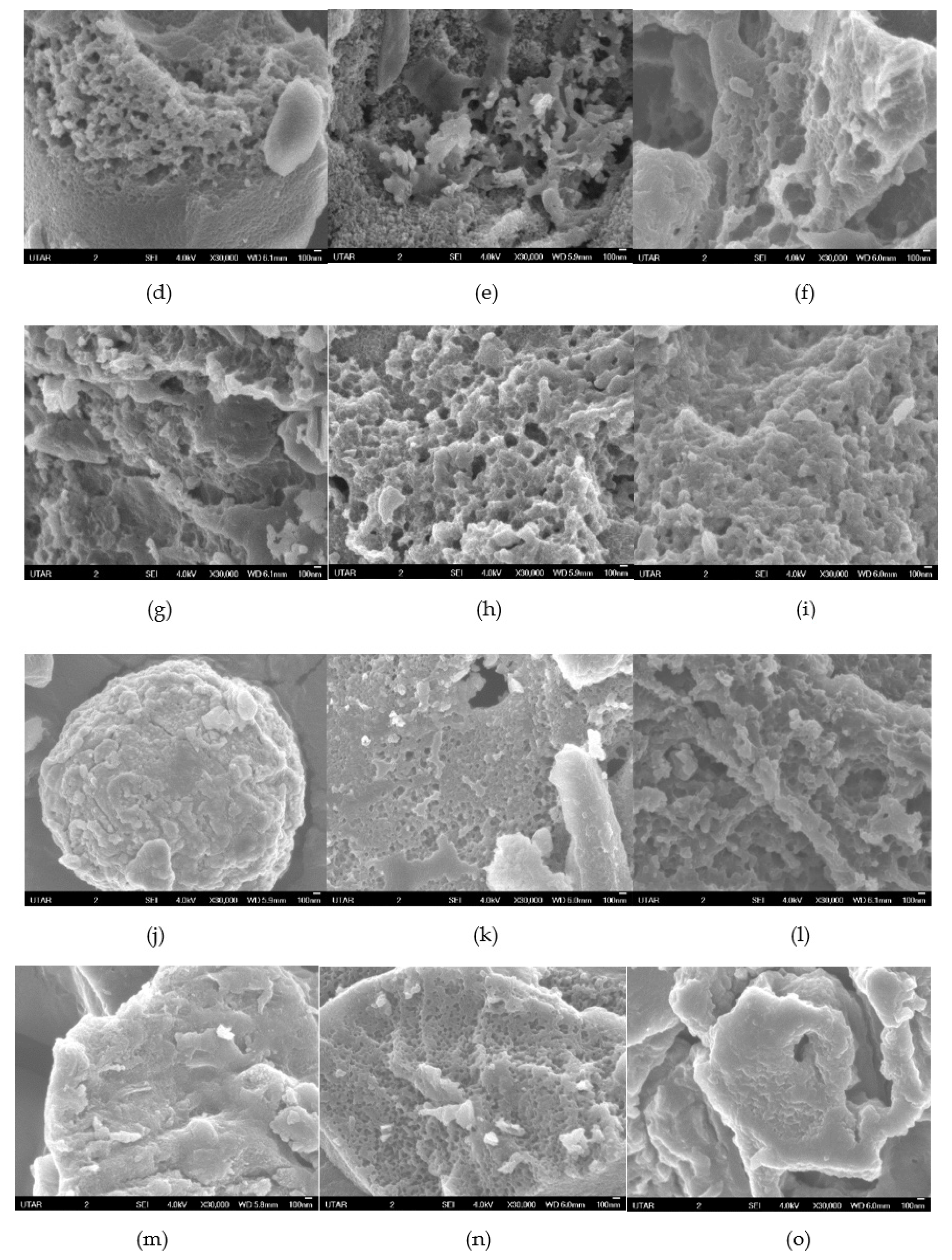 Sustainability 14 02919 g008b