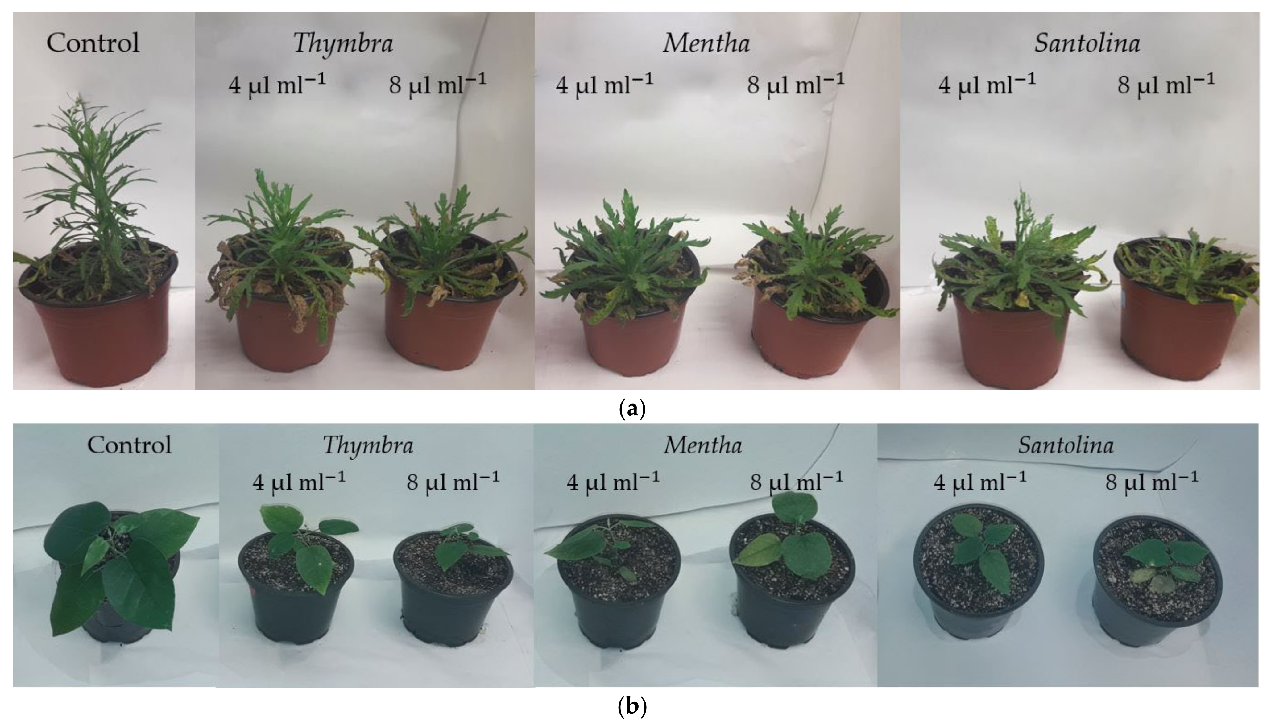 Sustainability 14 03596 g006