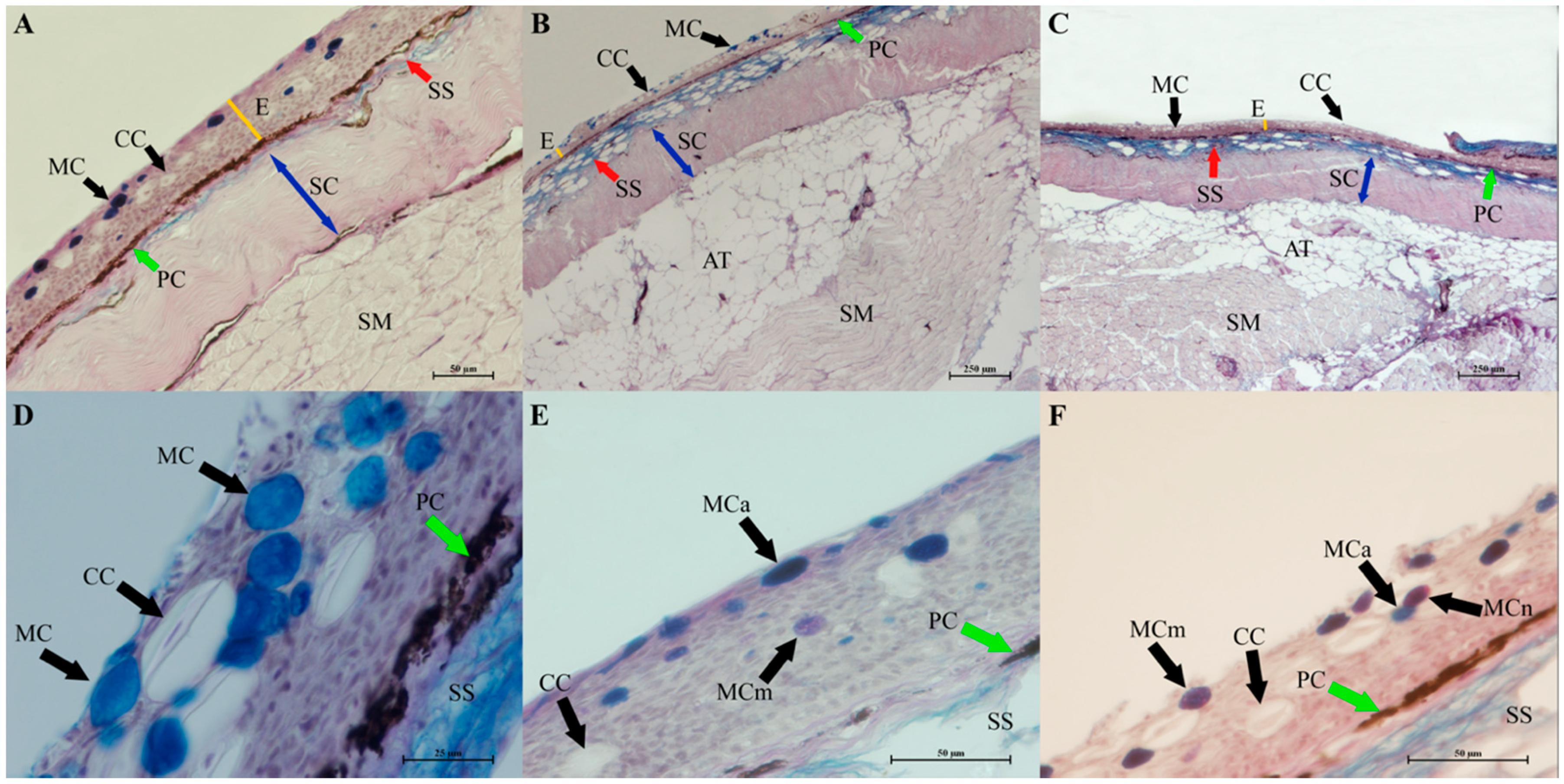 Sustainability 14 03724 g005