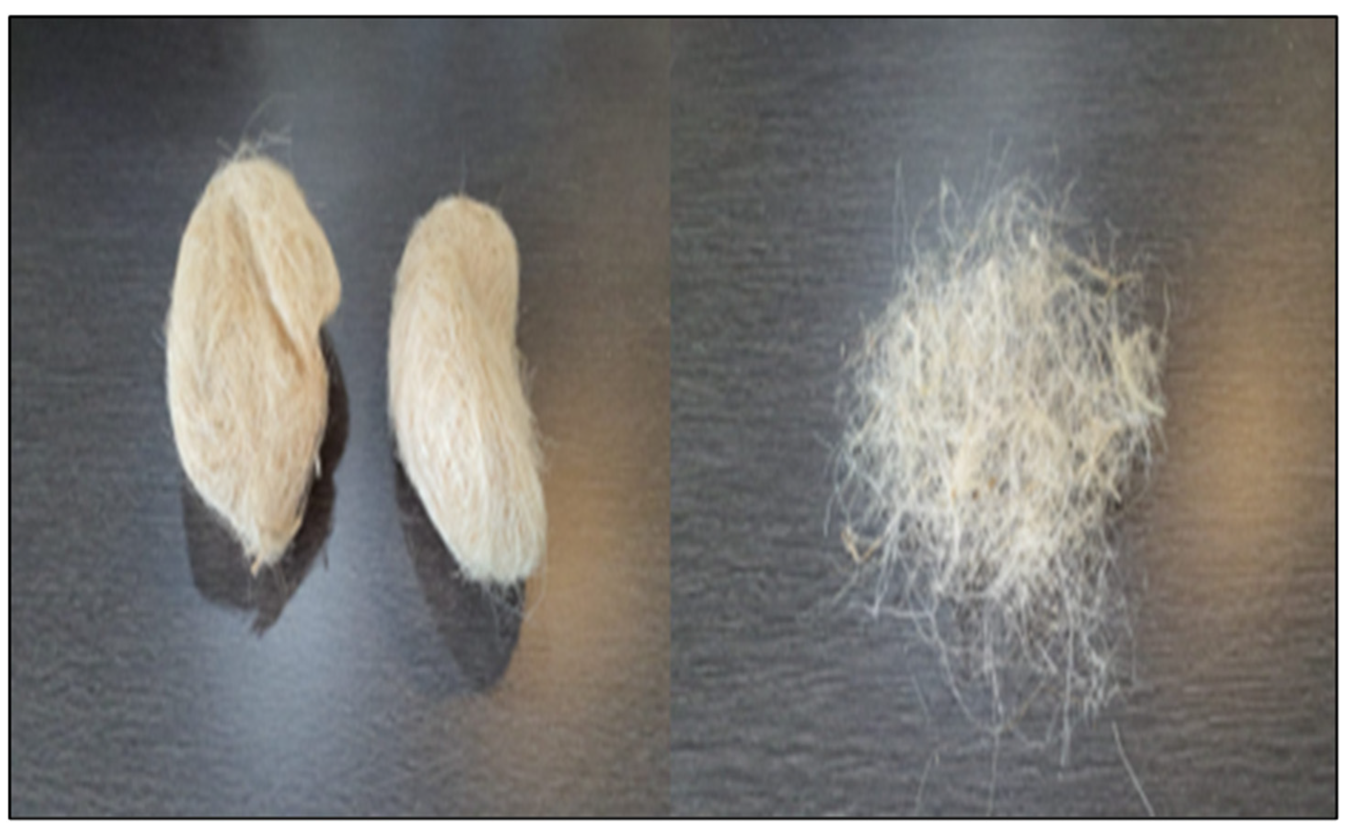 Sustainability 14 03826 g003