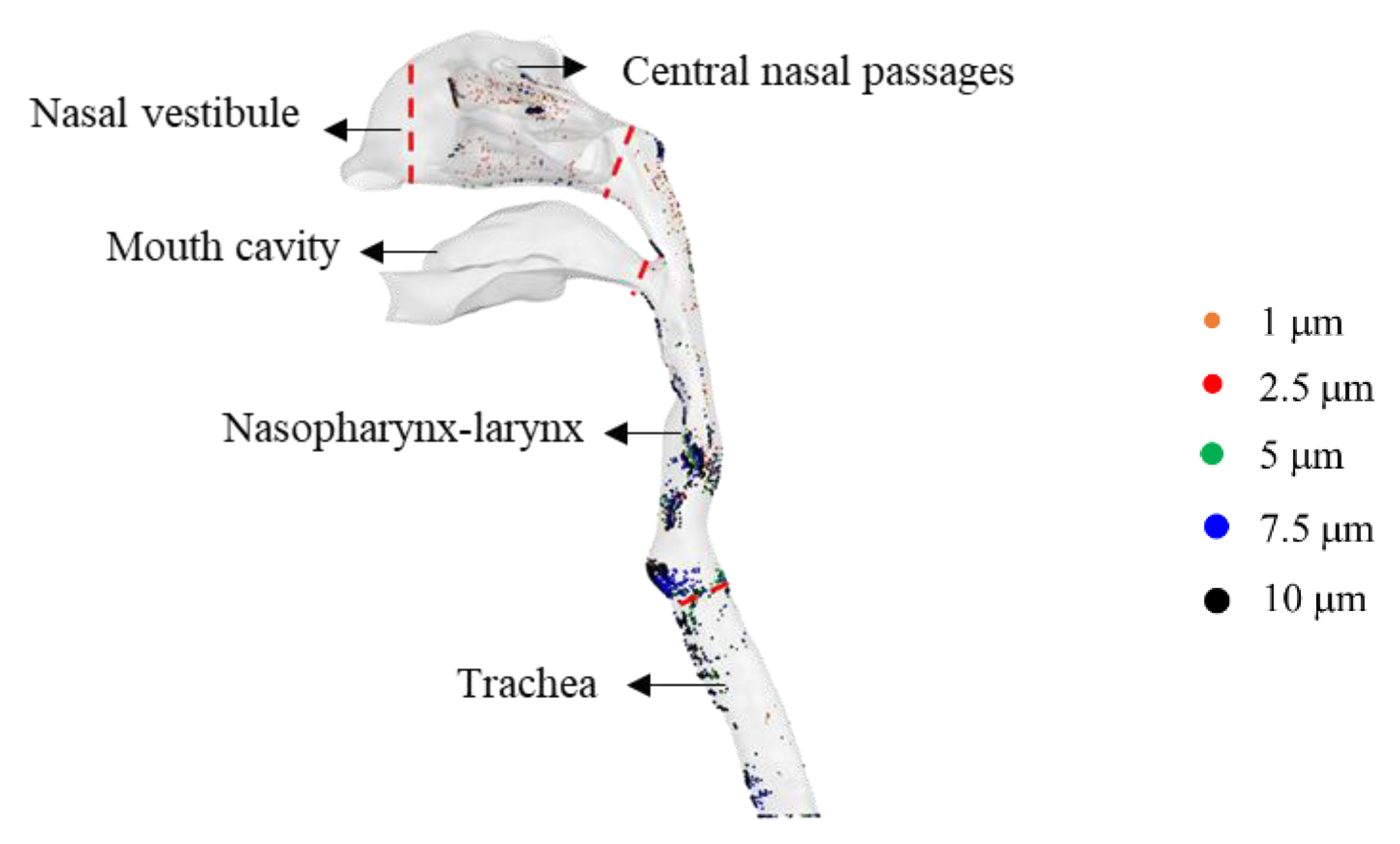 Sustainability 14 03896 g003