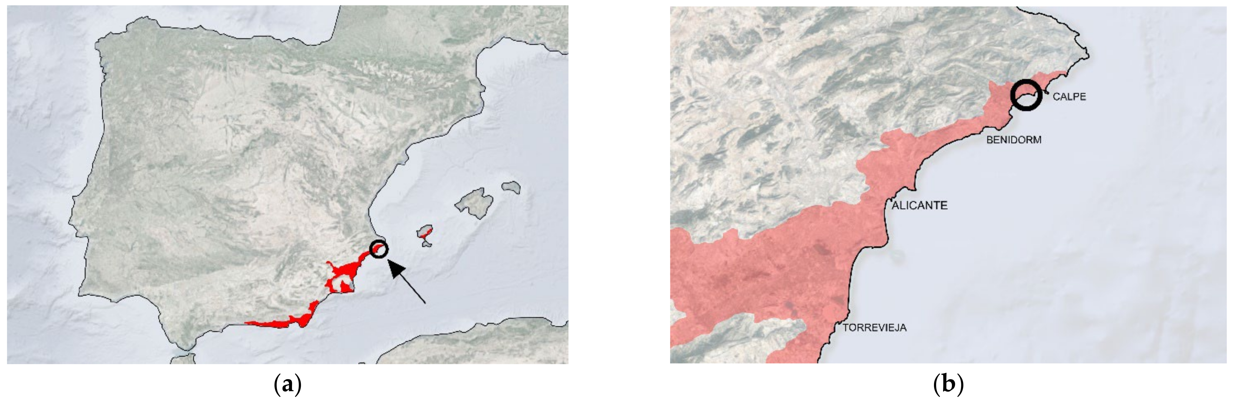 Sustainability 14 03910 g005