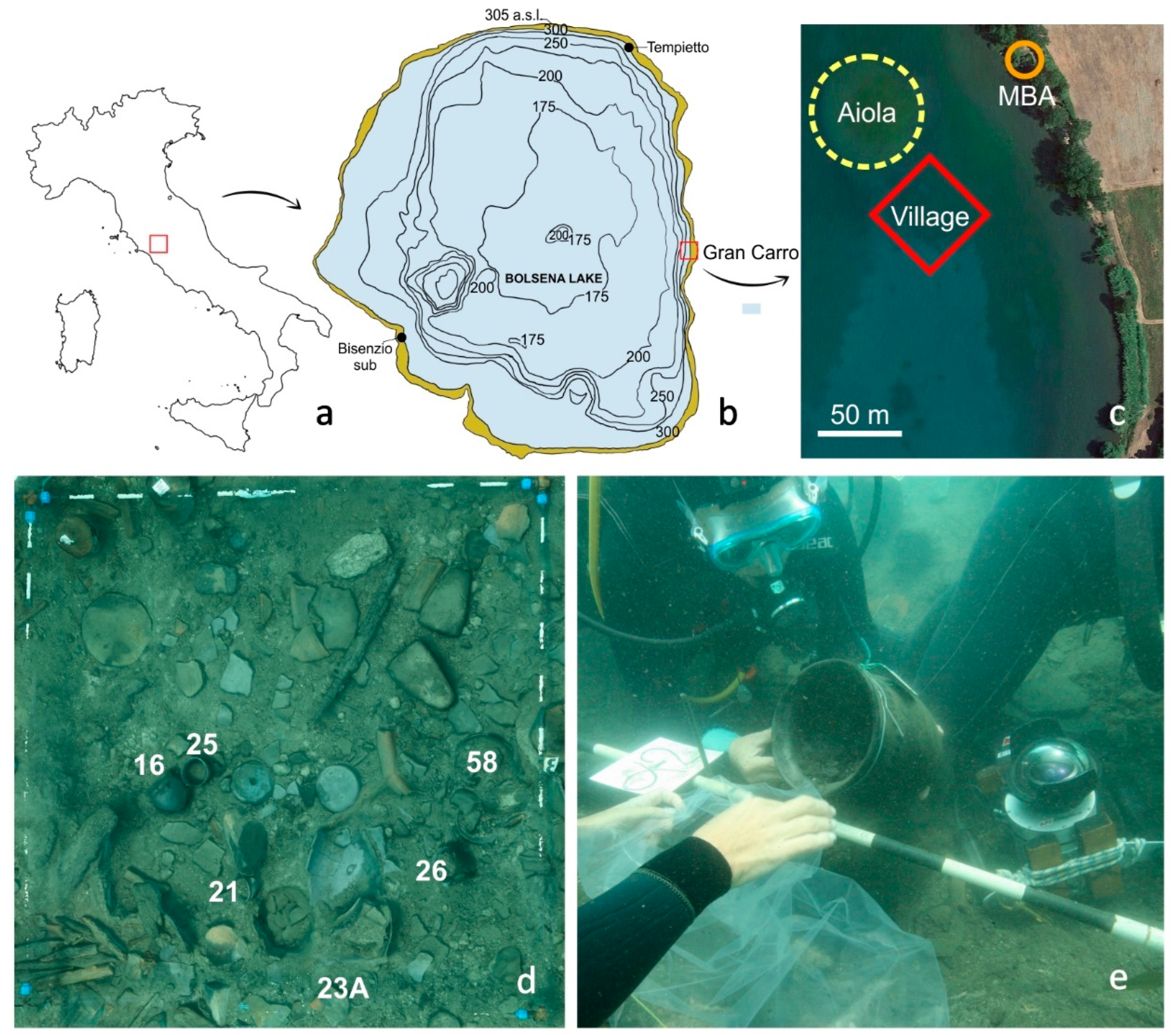 Sustainability | Free Full-Text | Millets and Cereal Meals from the Early  Iron Age Underwater Settlement of &ldquo;Gran Carro&rdquo; (Bolsena Lake,  Central Italy)