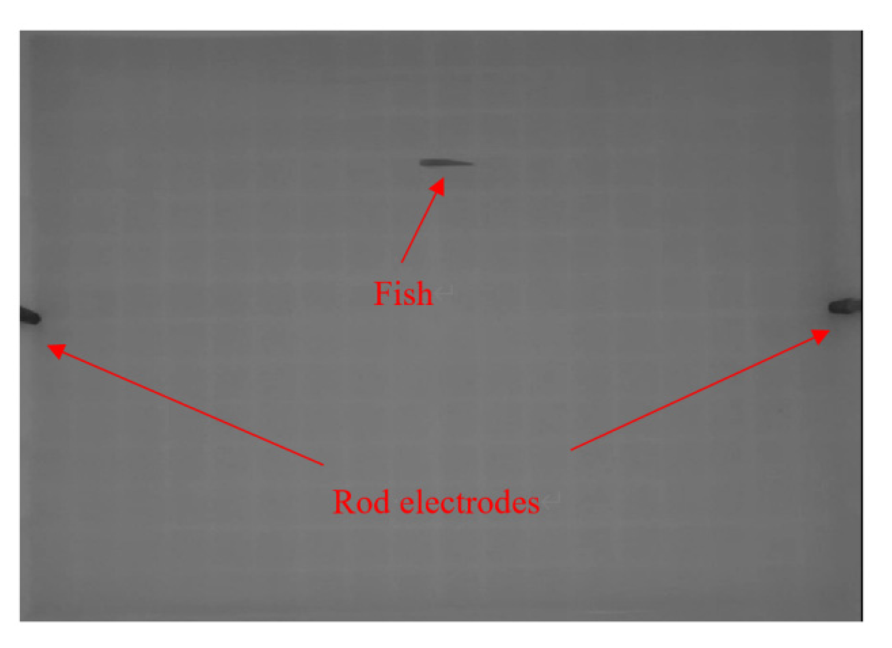 Sustainability 14 03942 g002