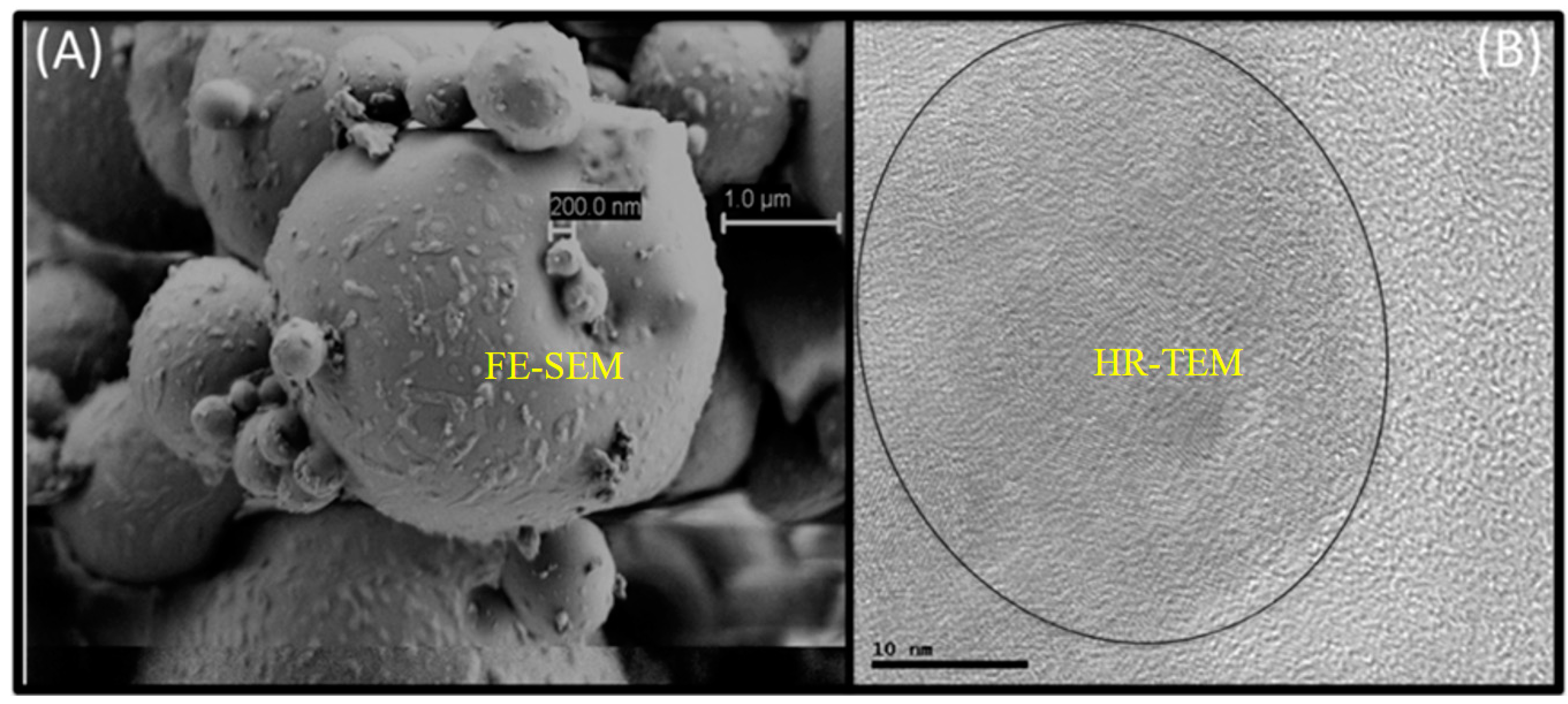 Sustainability 14 03943 g001