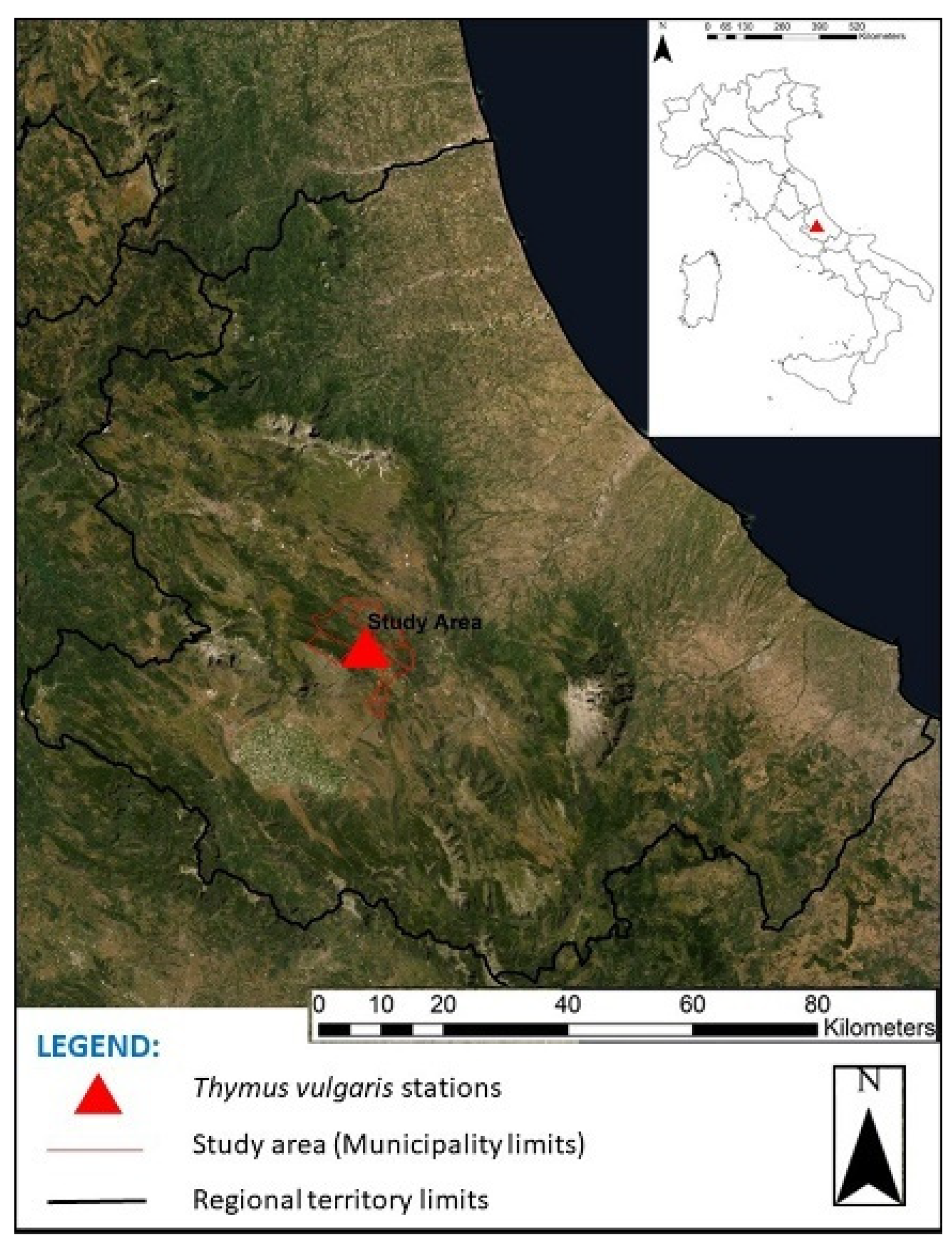 Sustainability | Free Full-Text | Characterization of Thymus vulgaris  subsp. vulgaris Community by Using a Multidisciplinary Approach: A Case  Study from Central Italy
