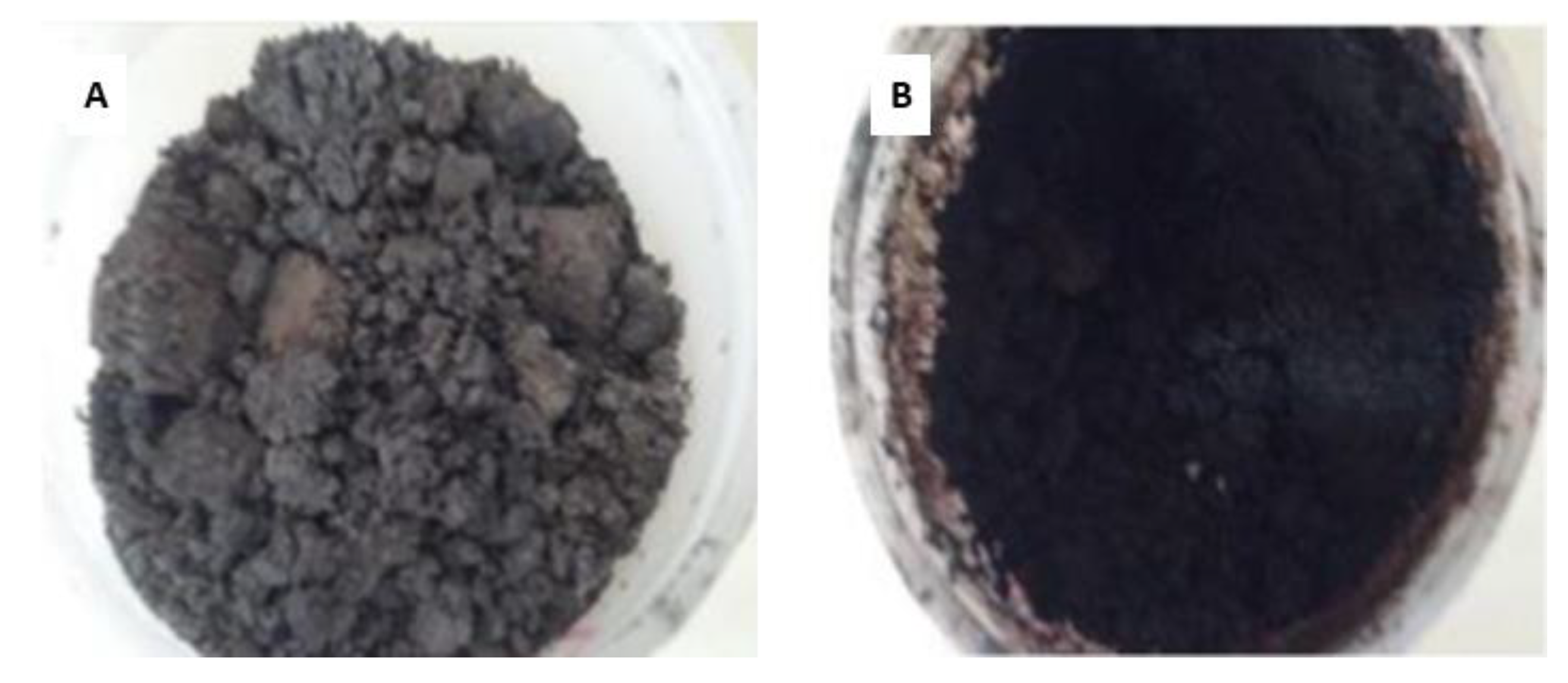 Sustainability 14 04438 g001