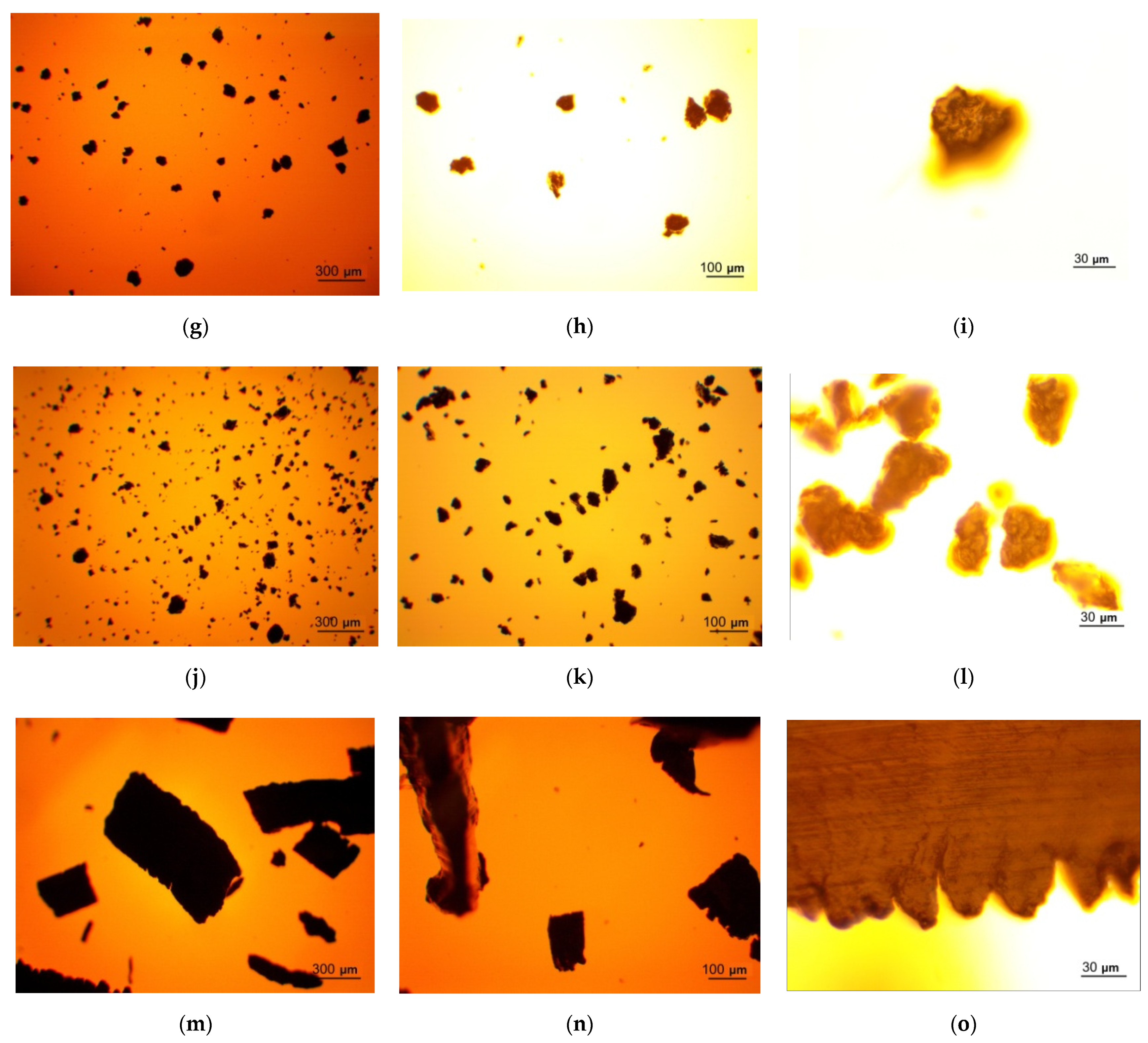 Sustainability 14 04496 g004b
