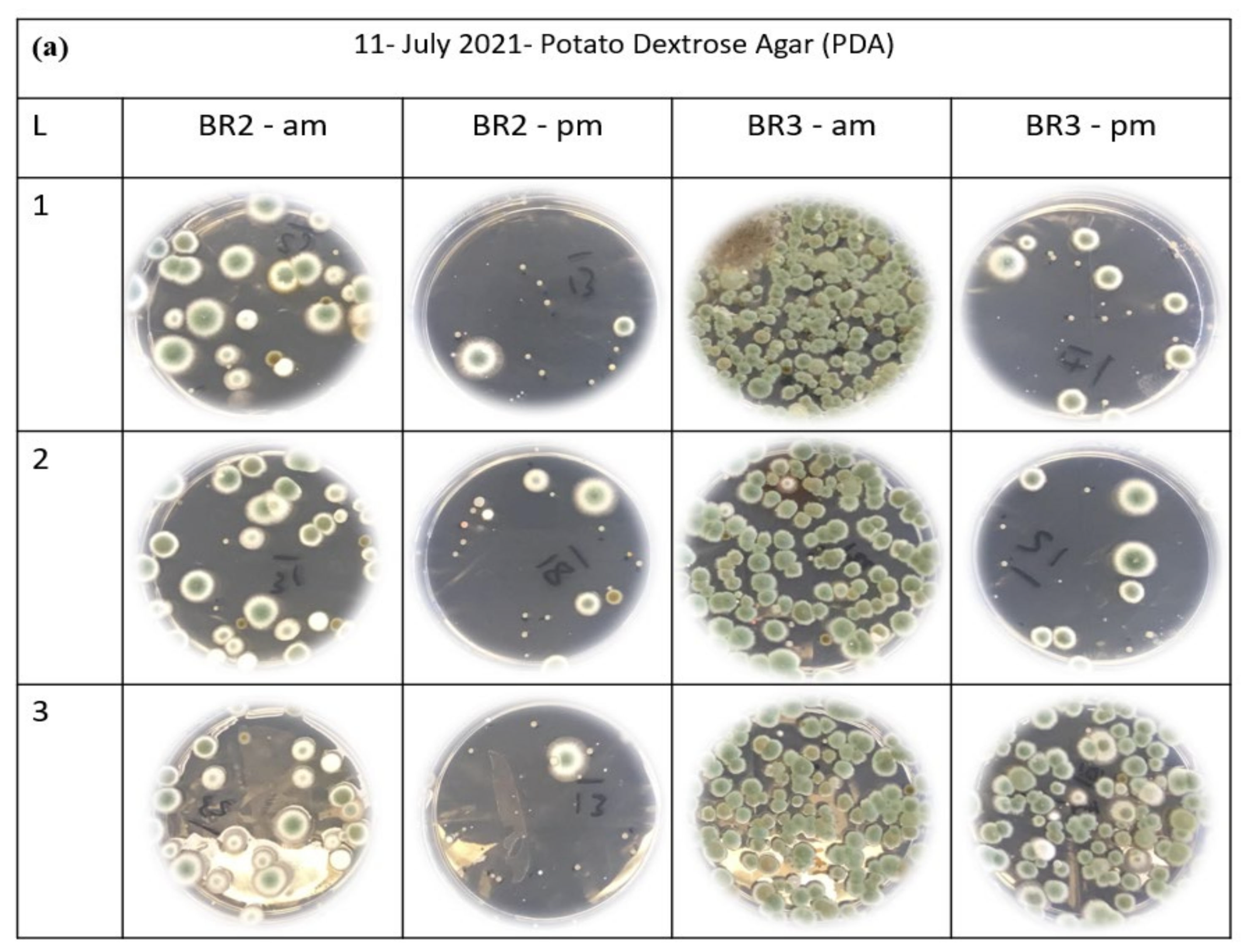Sustainability 14 04504 g011a