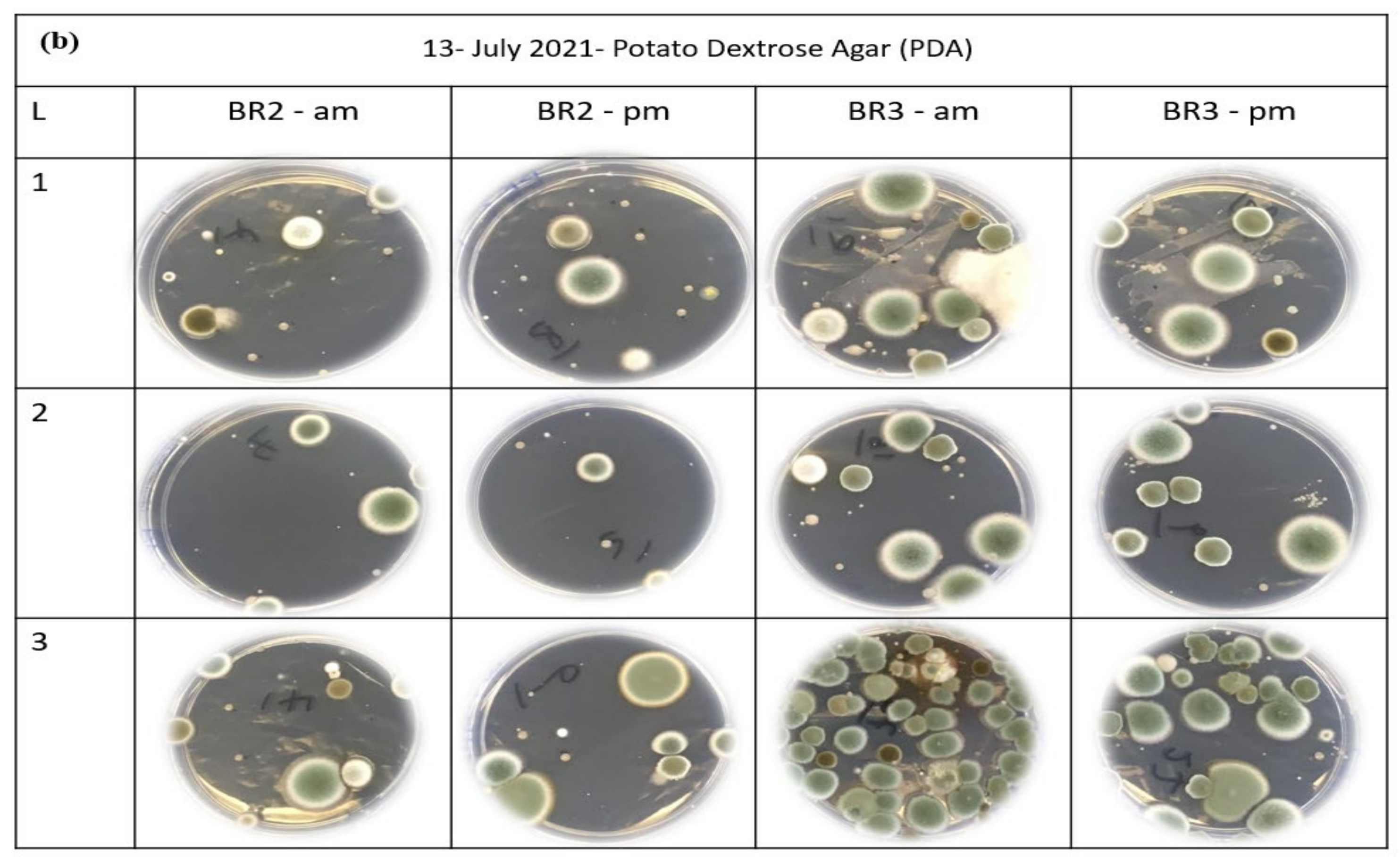 Sustainability 14 04504 g011b
