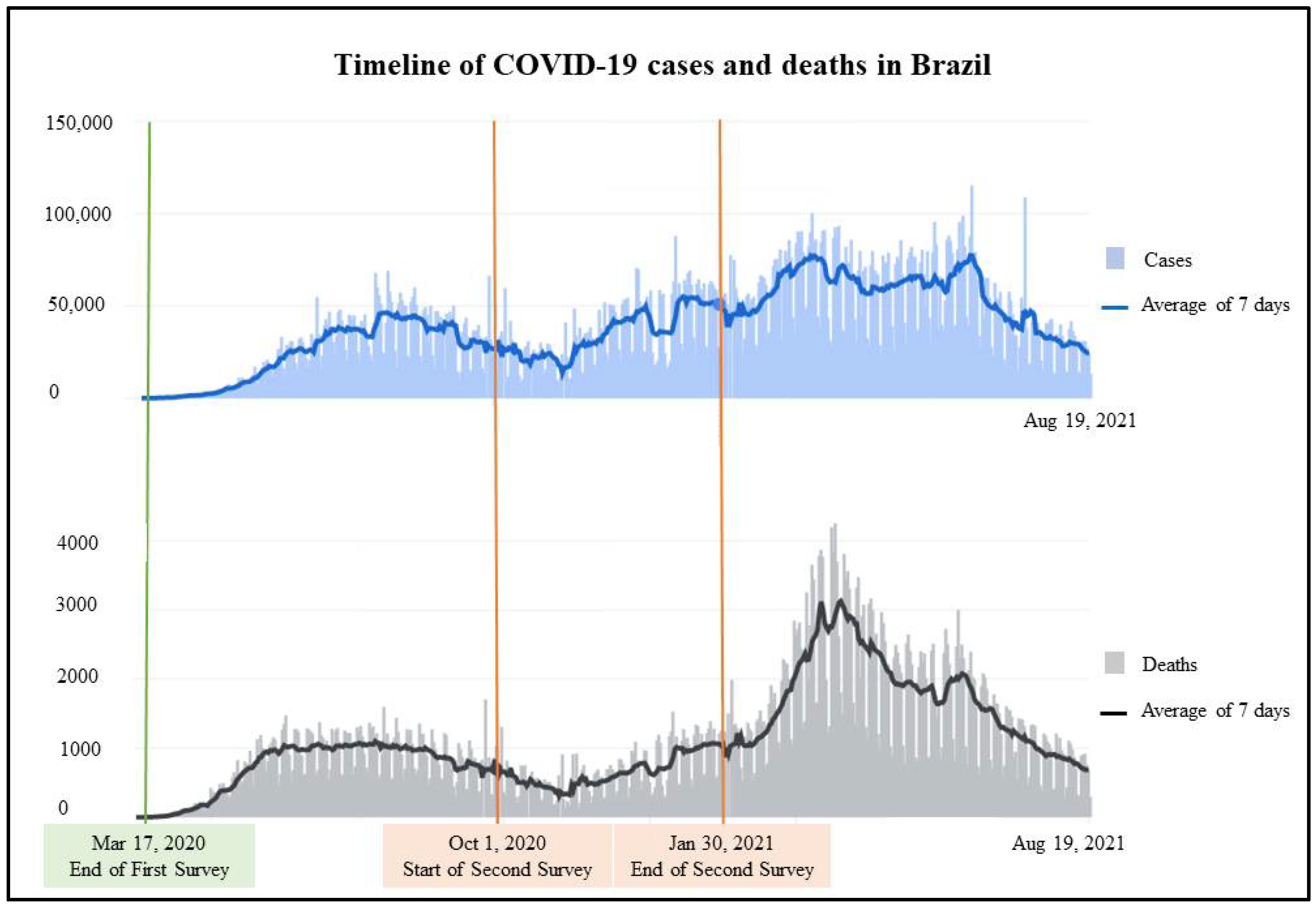 The impact of Brazil's transport network on the spread of COVID-19