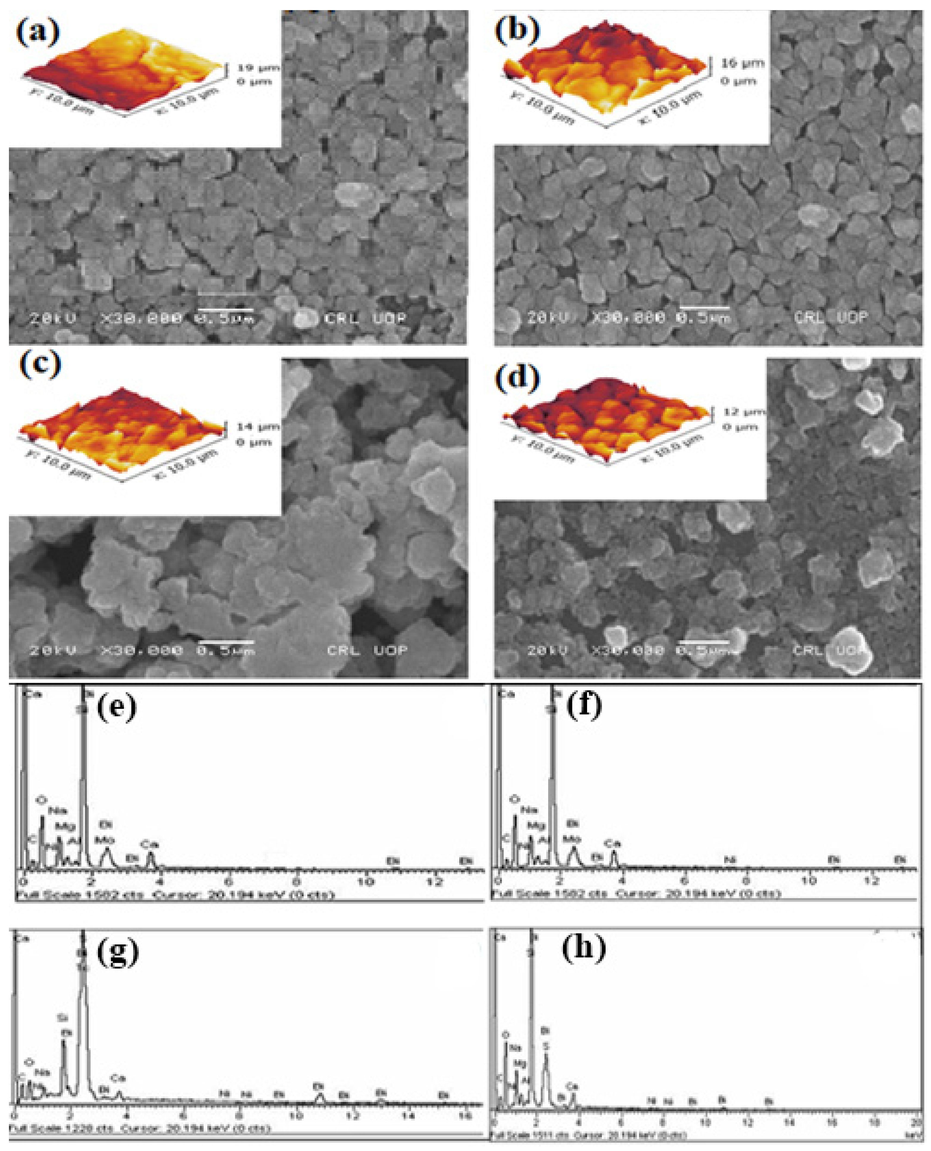Sustainability 14 04603 g003