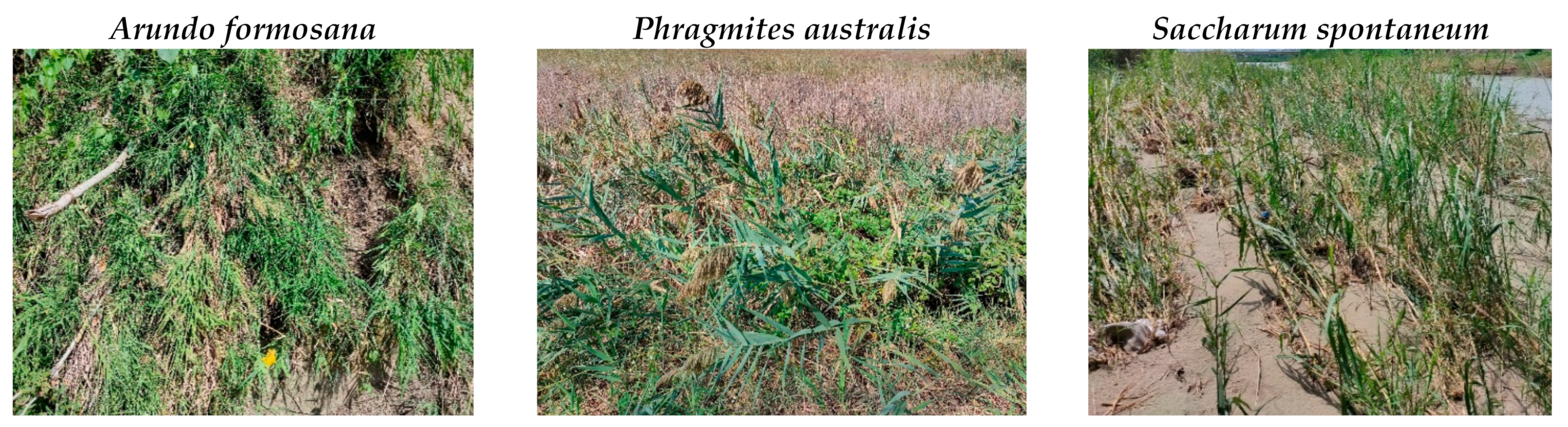 Sustainability 14 04672 g002