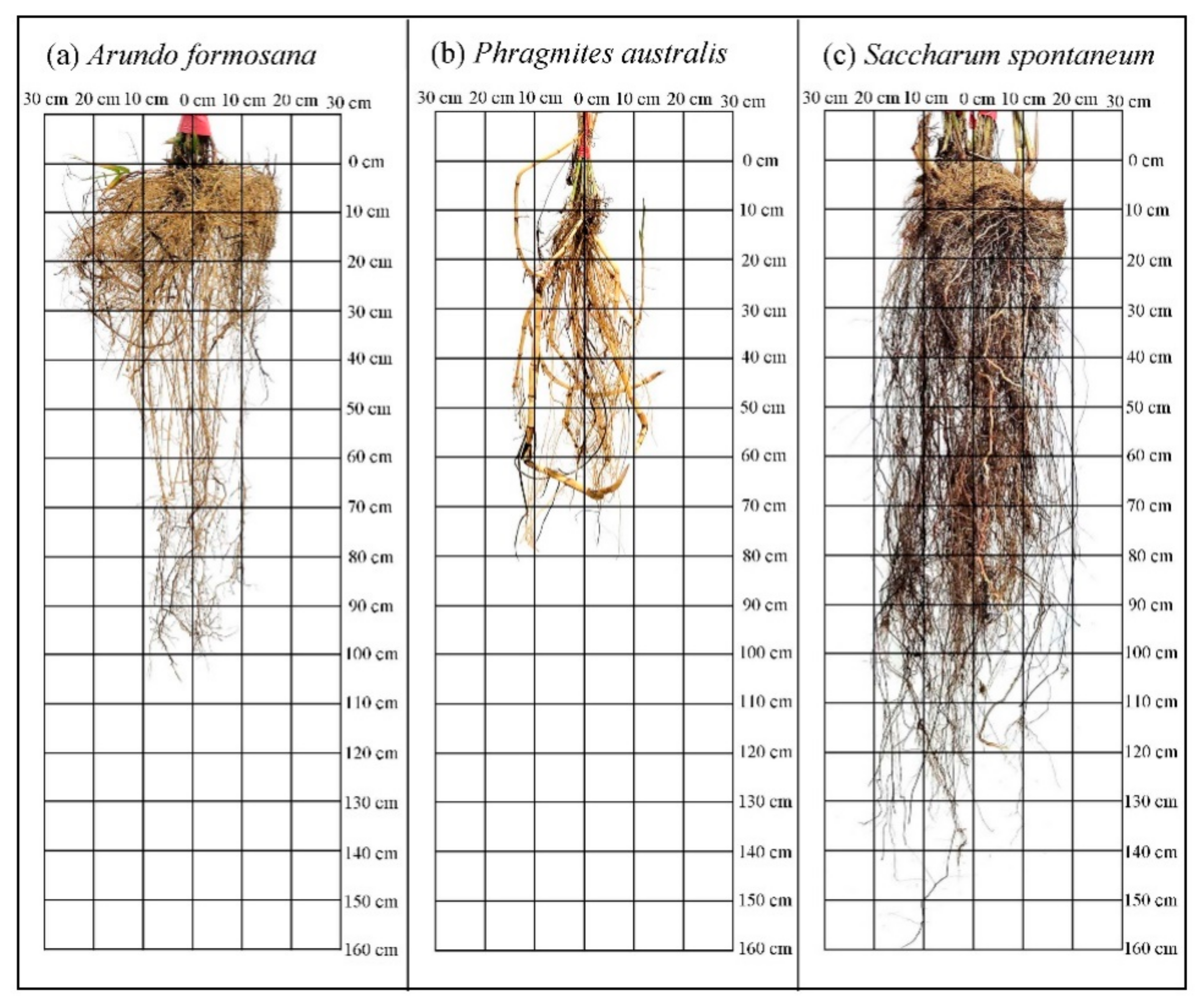 Sustainability 14 04672 g003