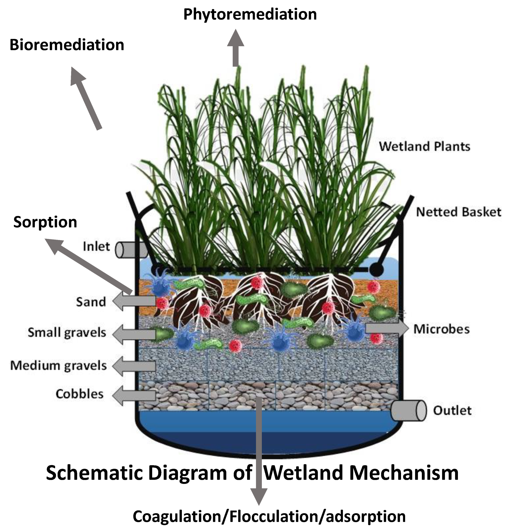 Sustainability 14 05230 g002
