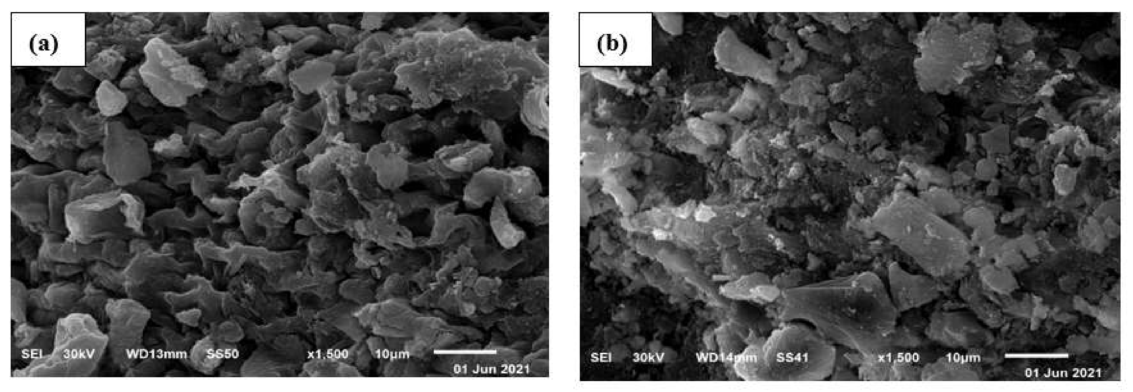 Sustainability 14 05285 g005