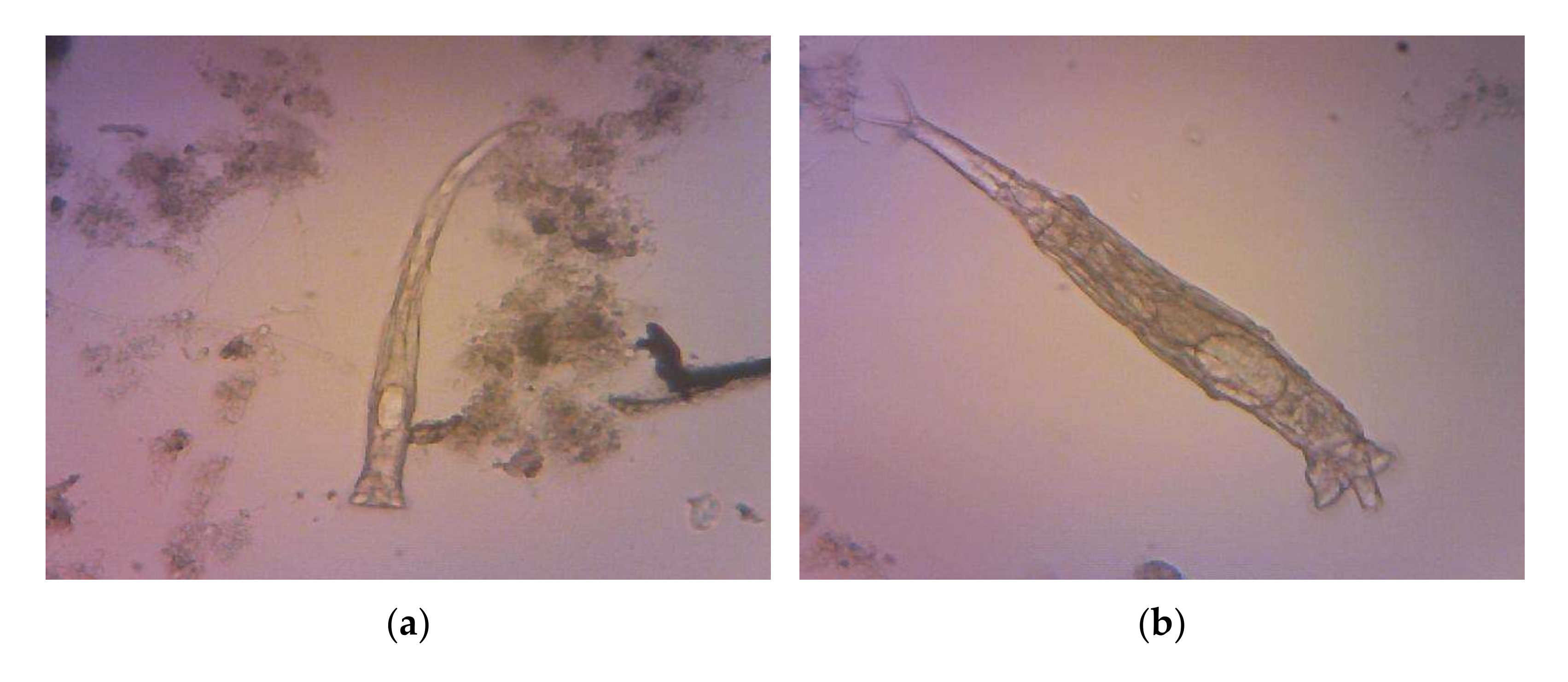 Sustainability 14 05443 g010a