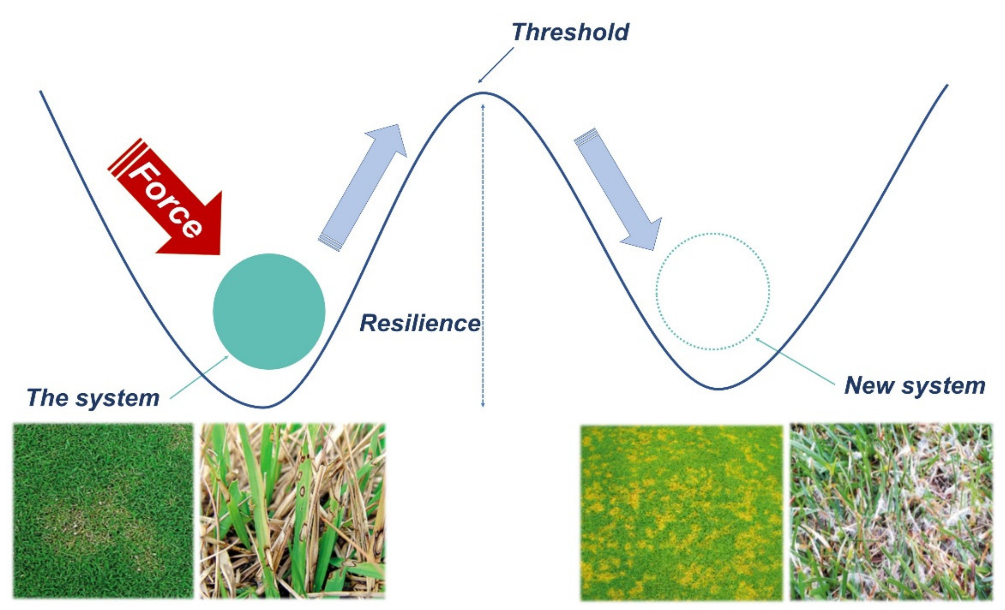 Sustainability 14 05489 g007