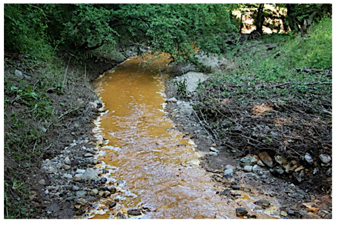 Sustainability 14 05621 g005